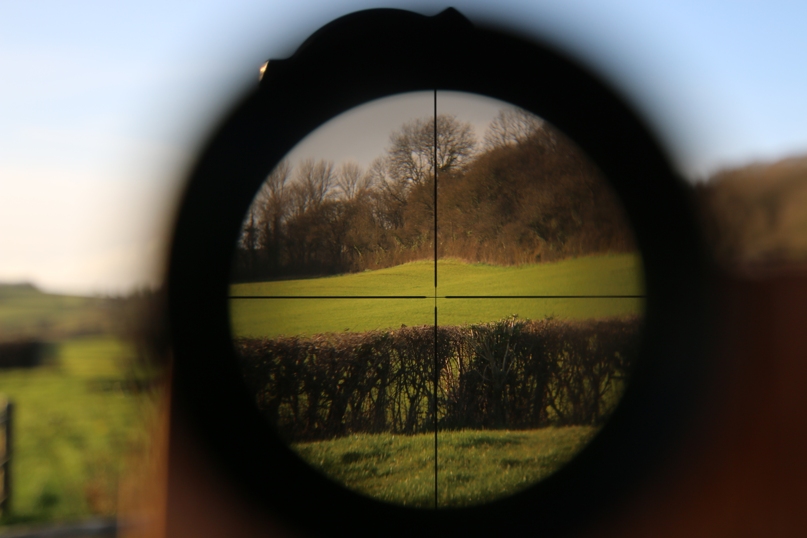 Leupold VX-III