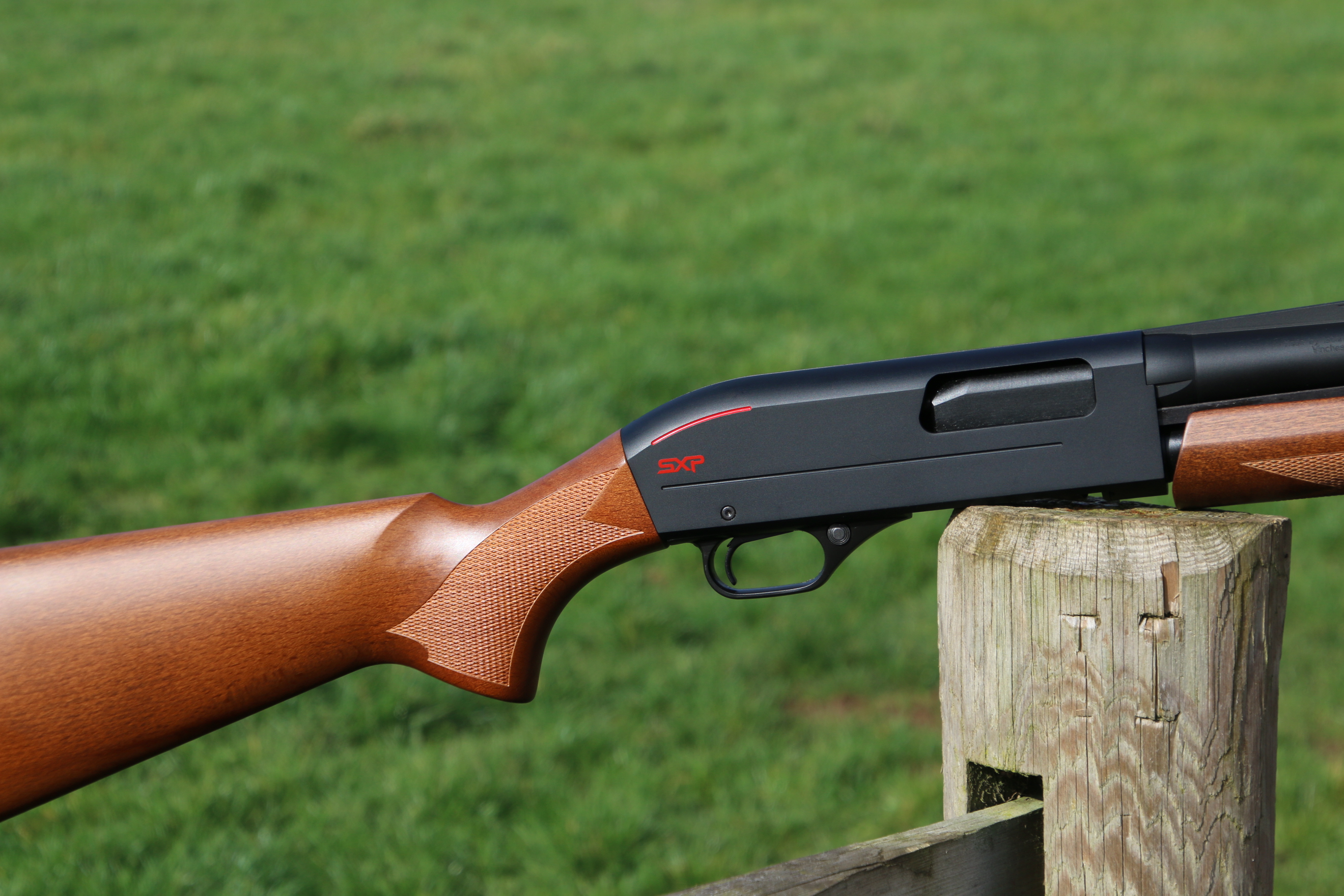 Winchester SXP