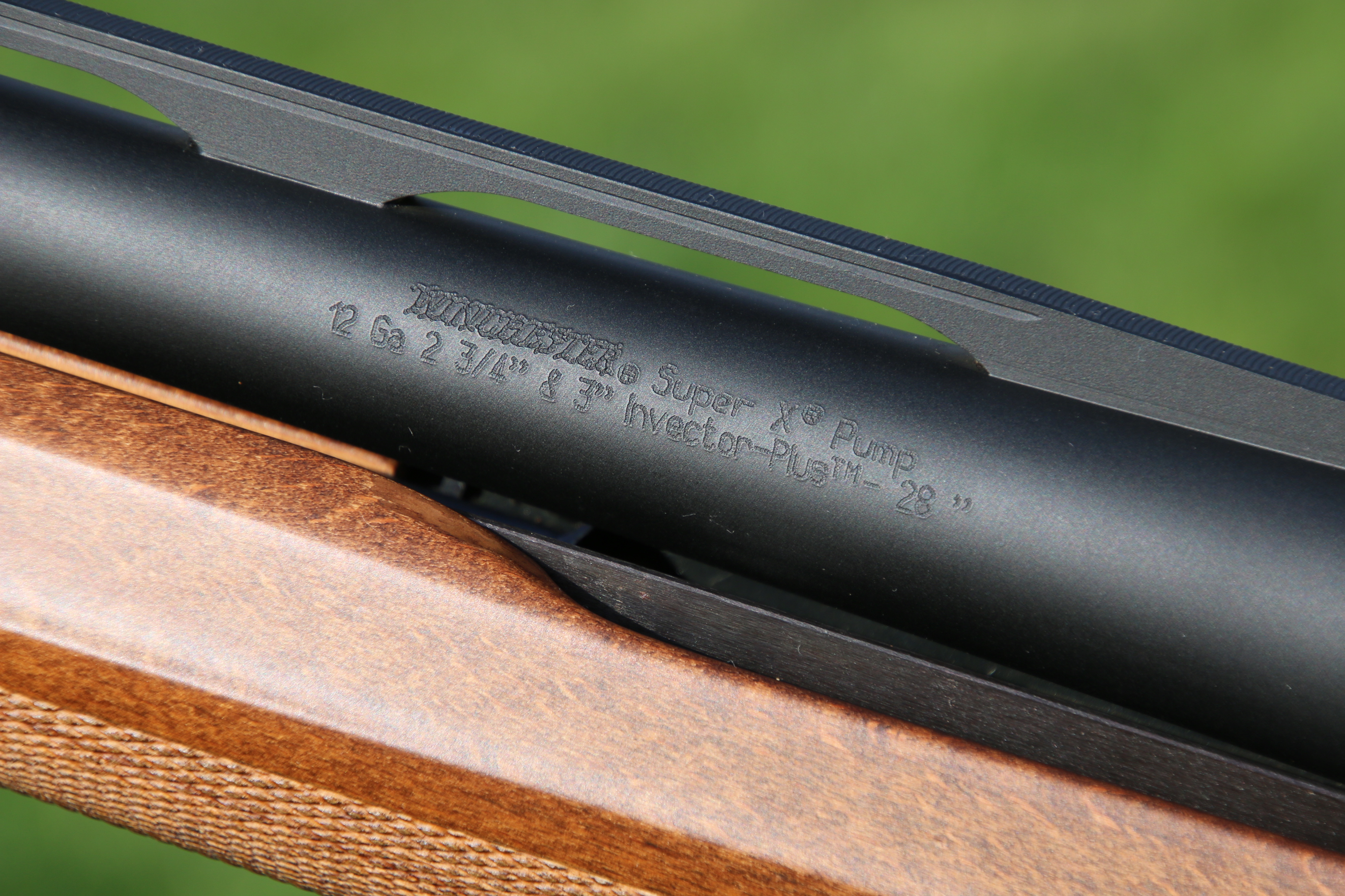 Winchester SXP