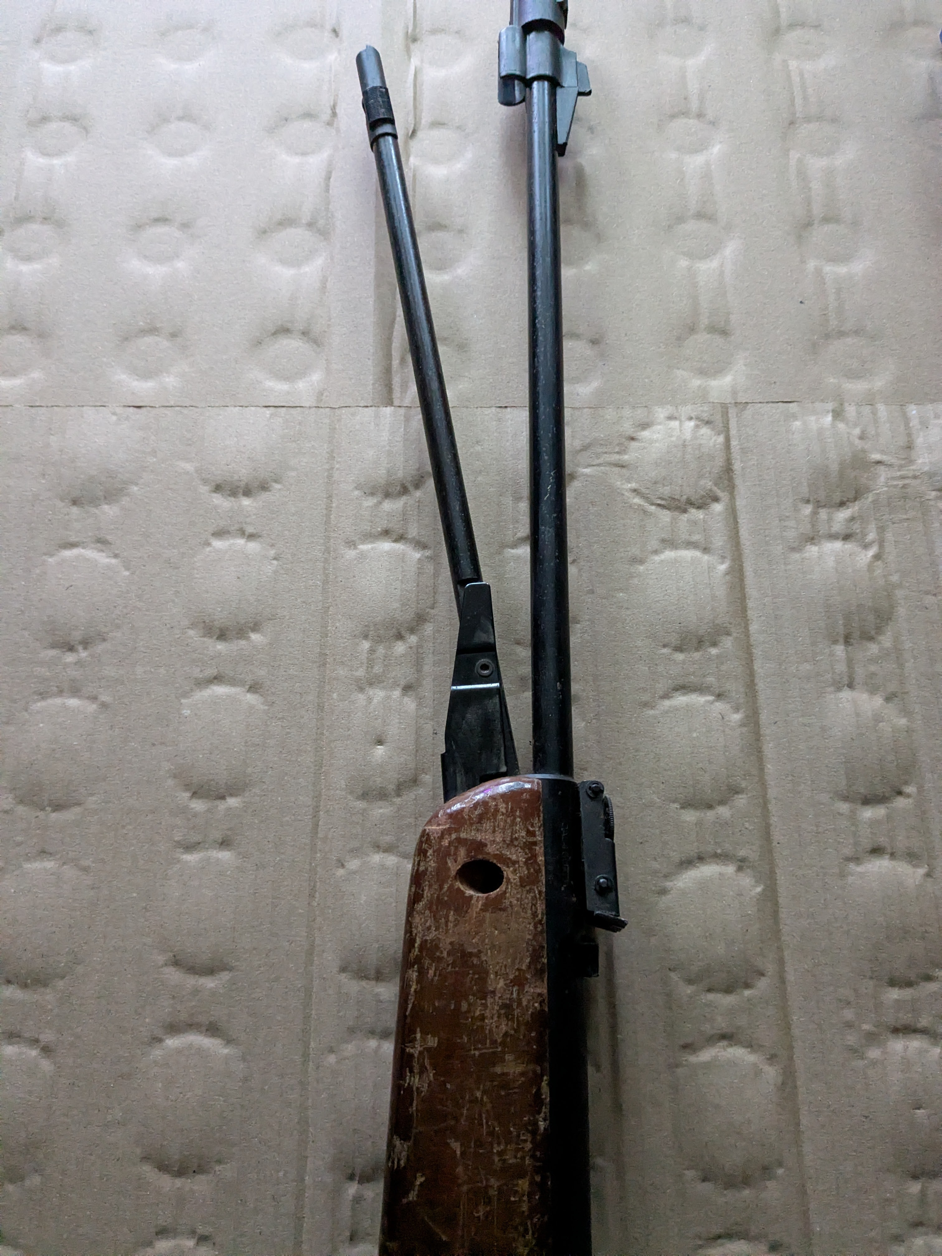 Gamo Cf20