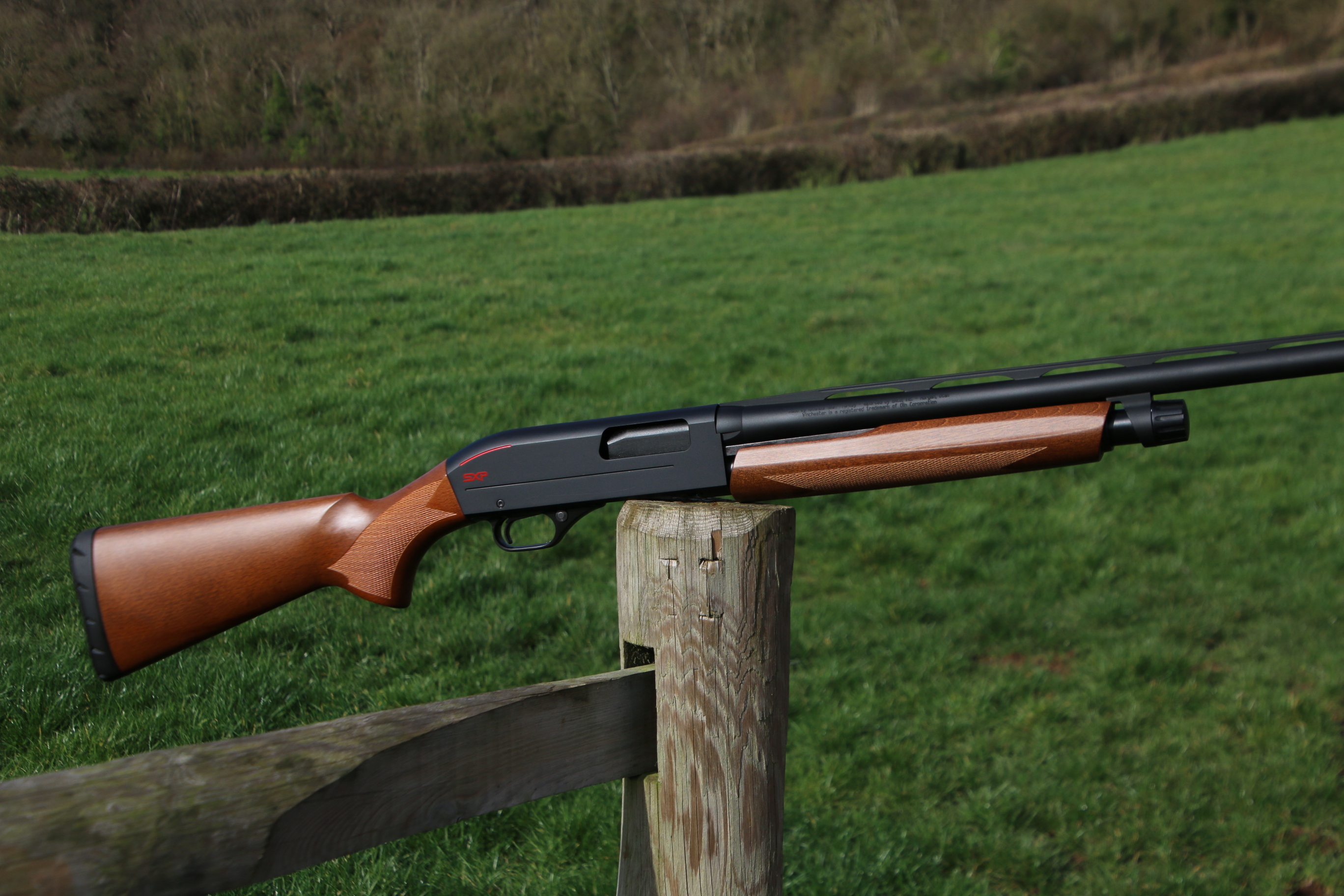 Winchester SXP