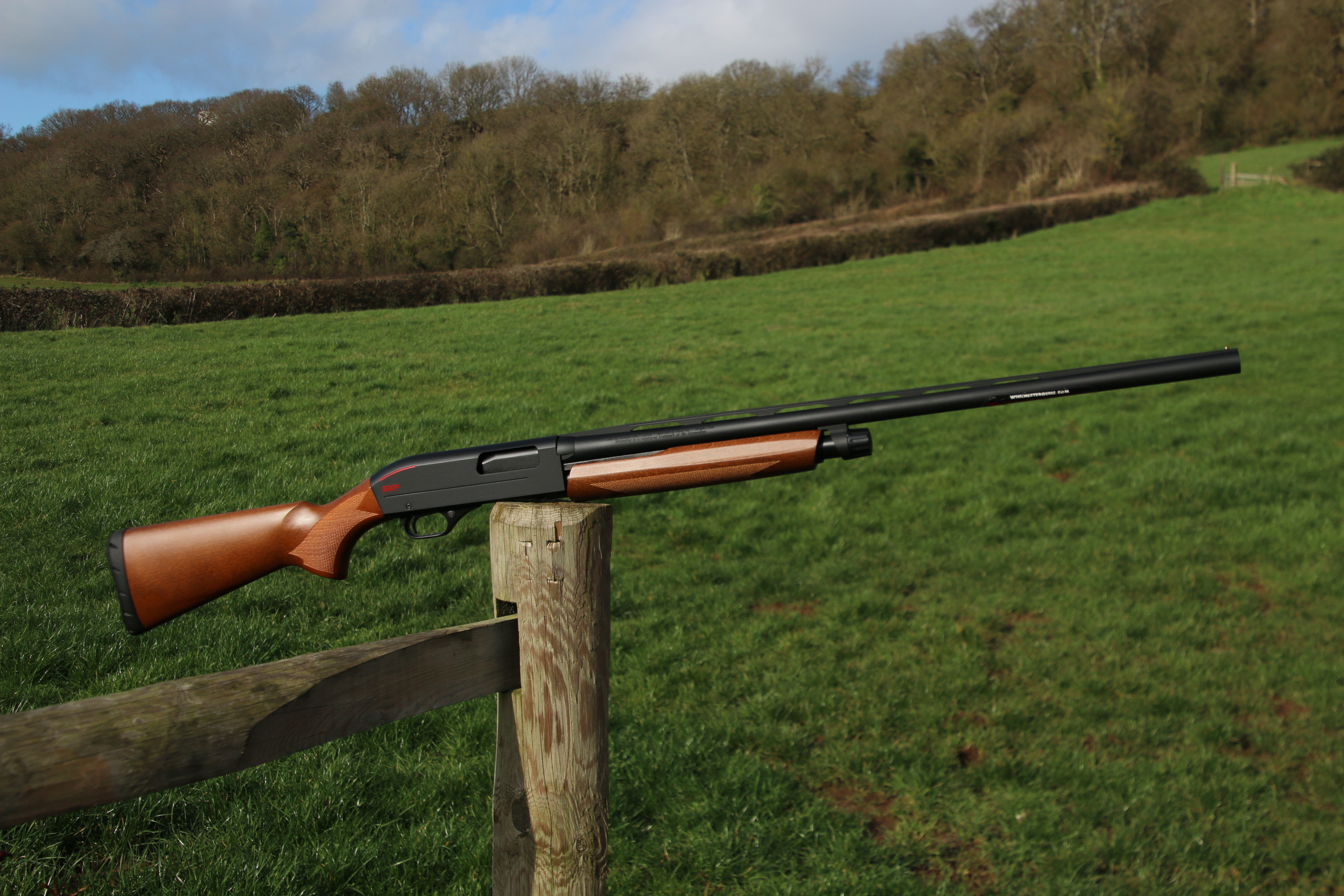Winchester SXP
