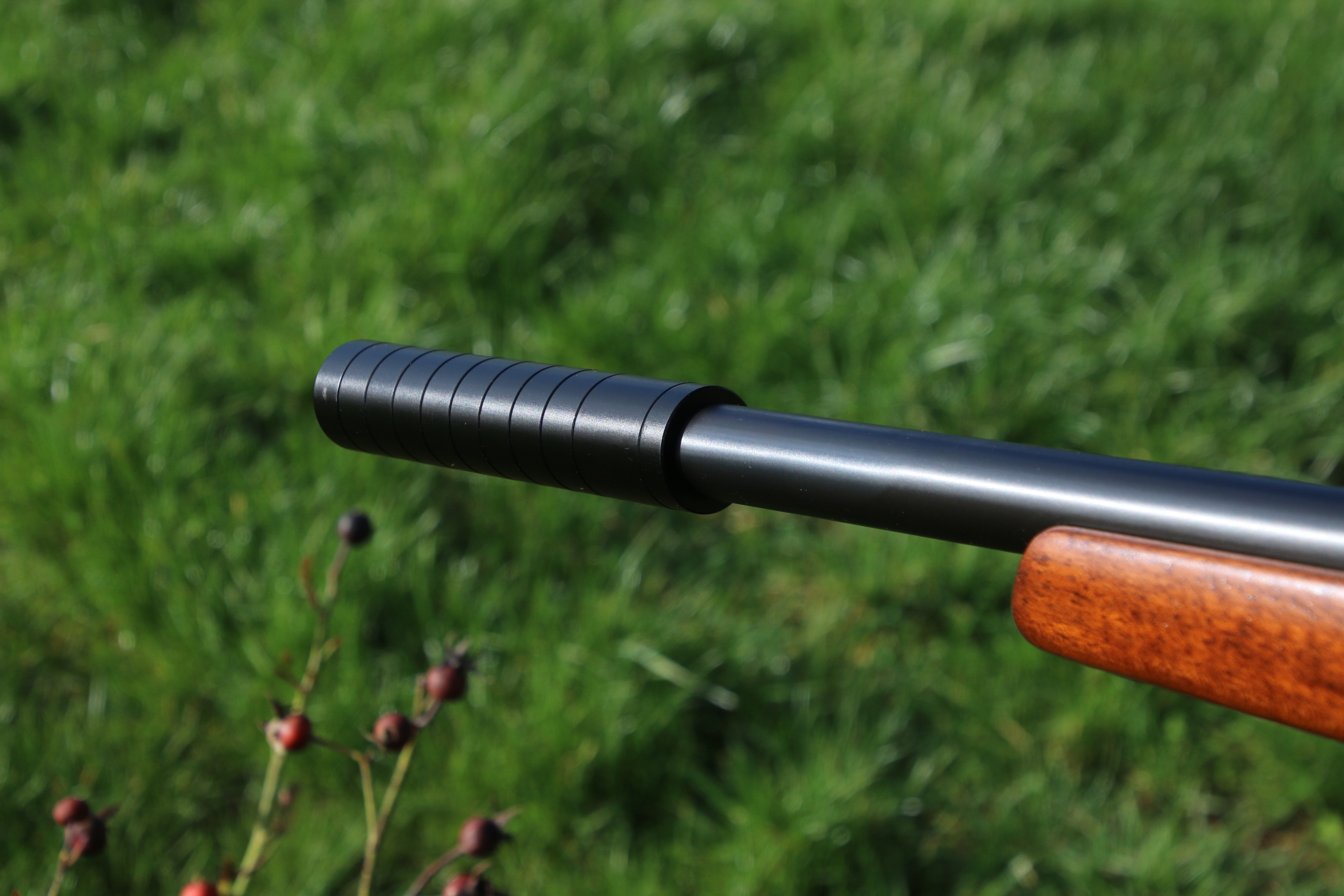CZ 455
