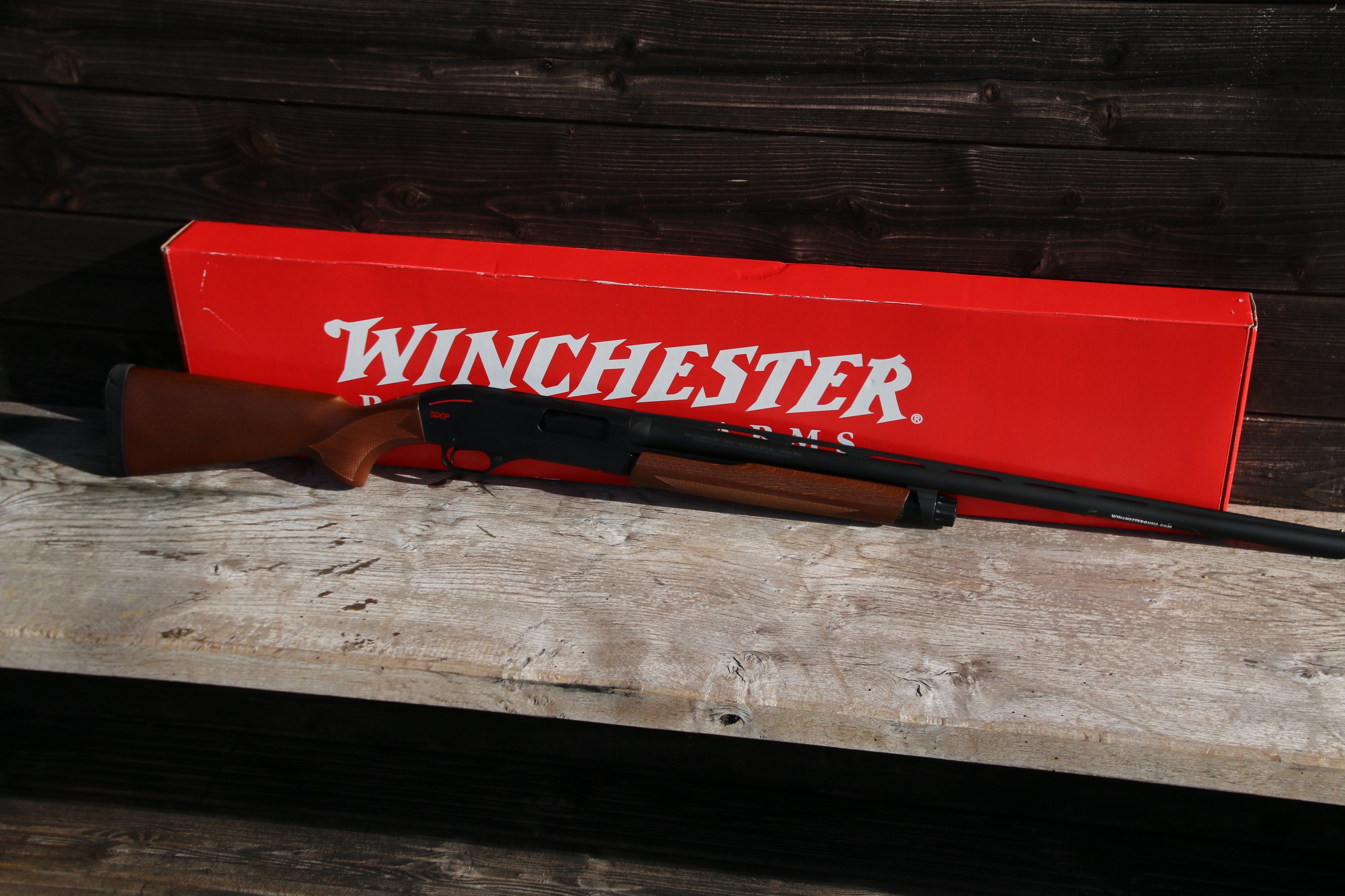 Winchester SXP