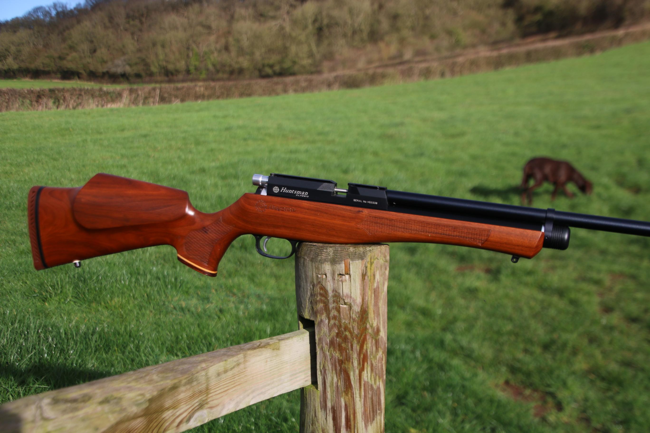 Daystate Huntsman