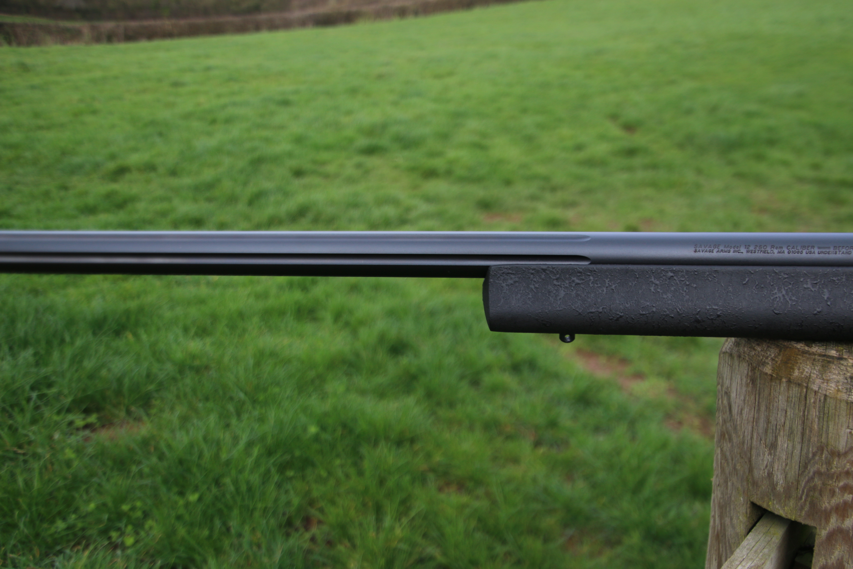Savage Arms 12