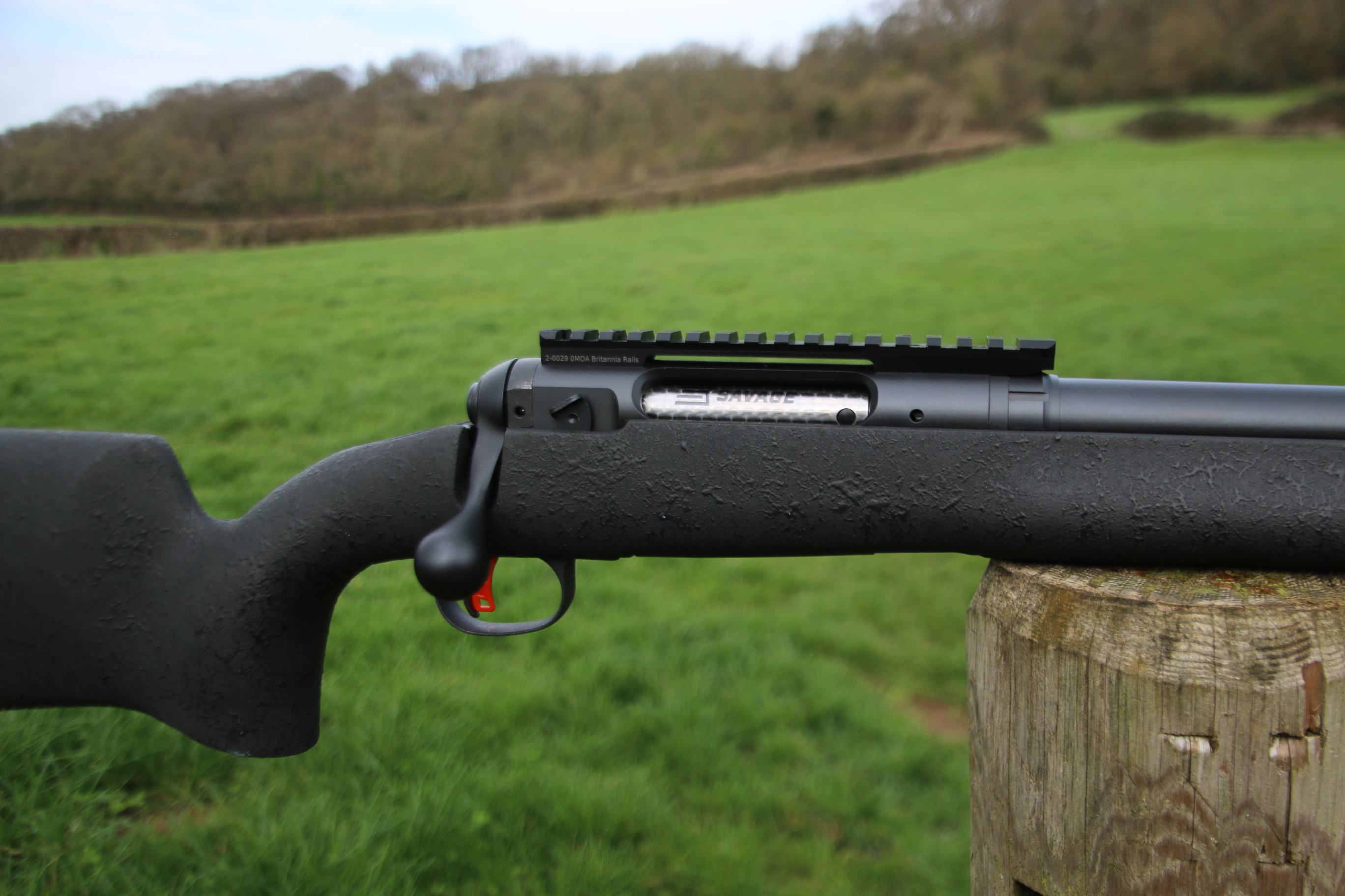 Savage Arms 12