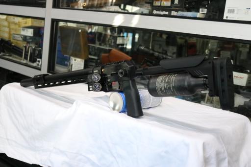 Firearm: FX Panthera 