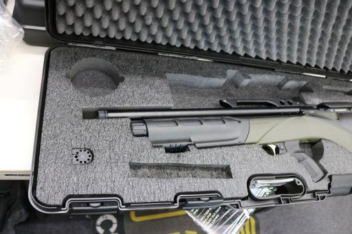 Firearm: Daystate Renegade 