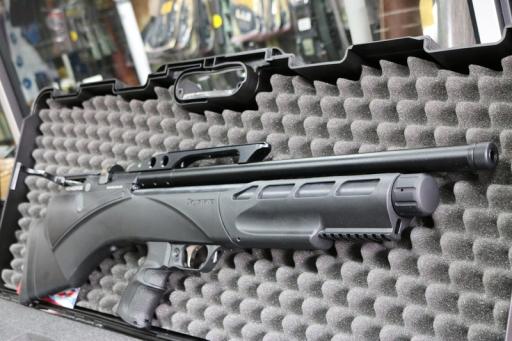 Firearm: Daystate Renegade 