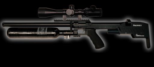 Firearm: RTI Arms Performance 