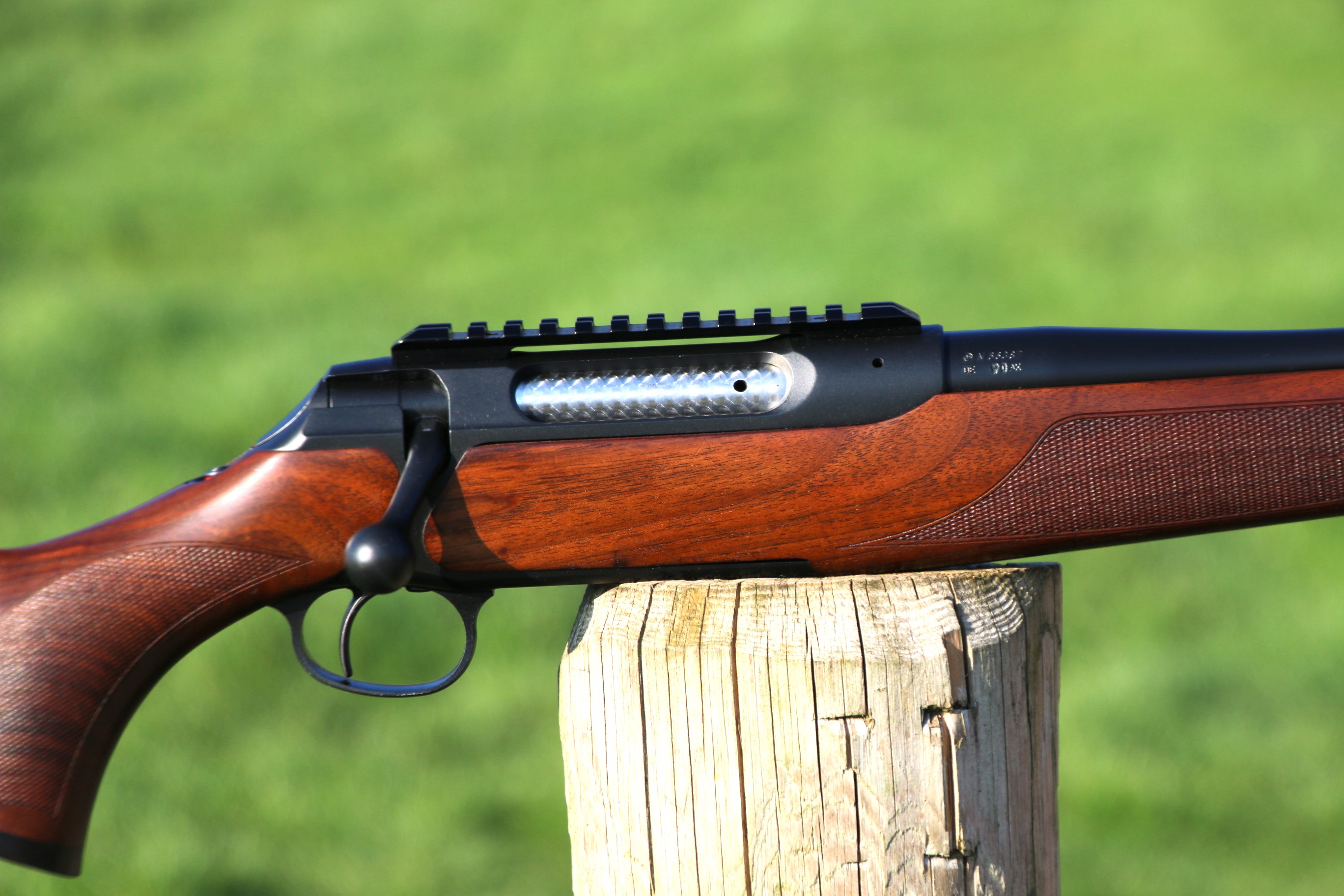 Sauer 202