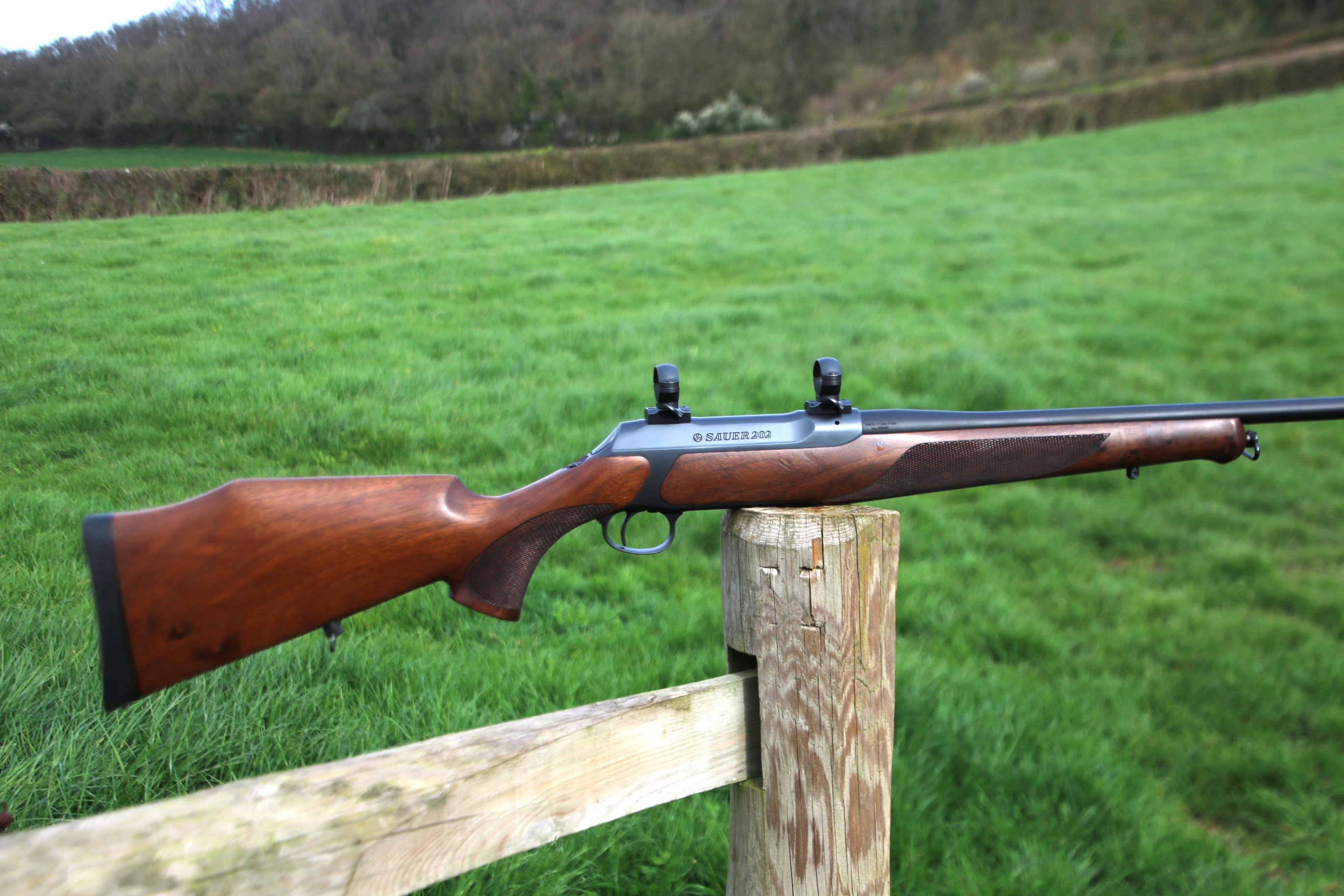 Sauer 202