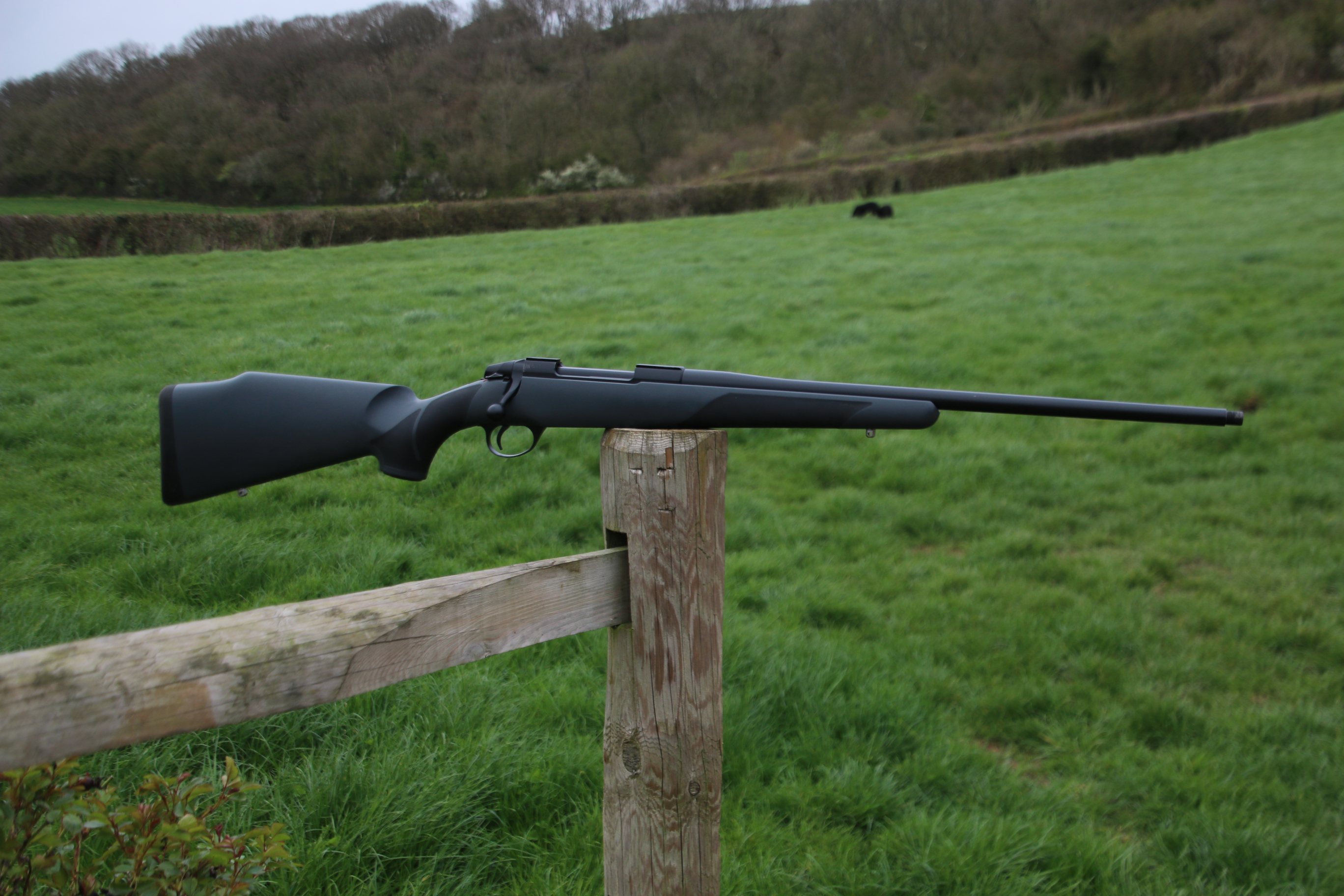 Sako 75