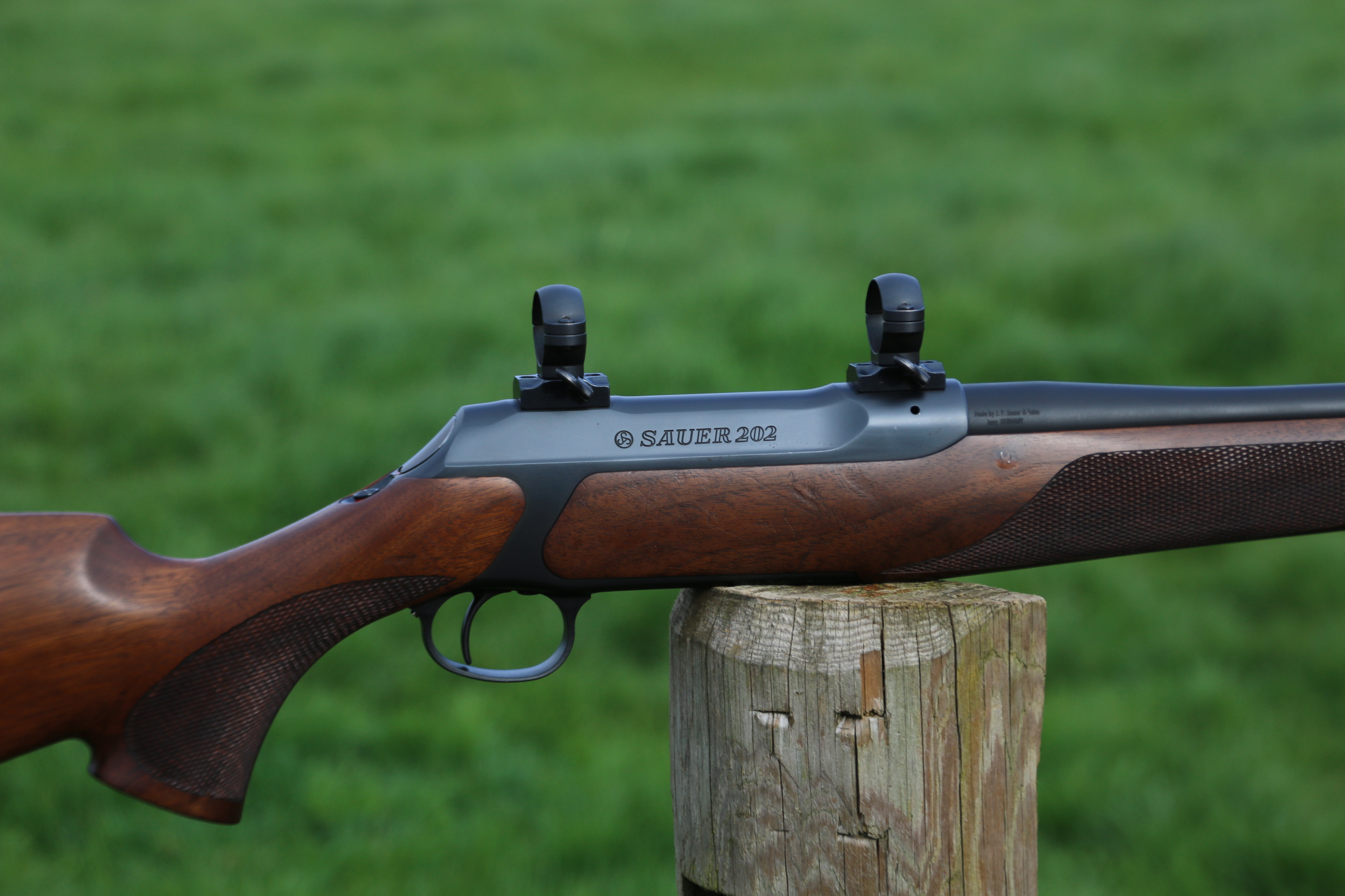 Sauer 202