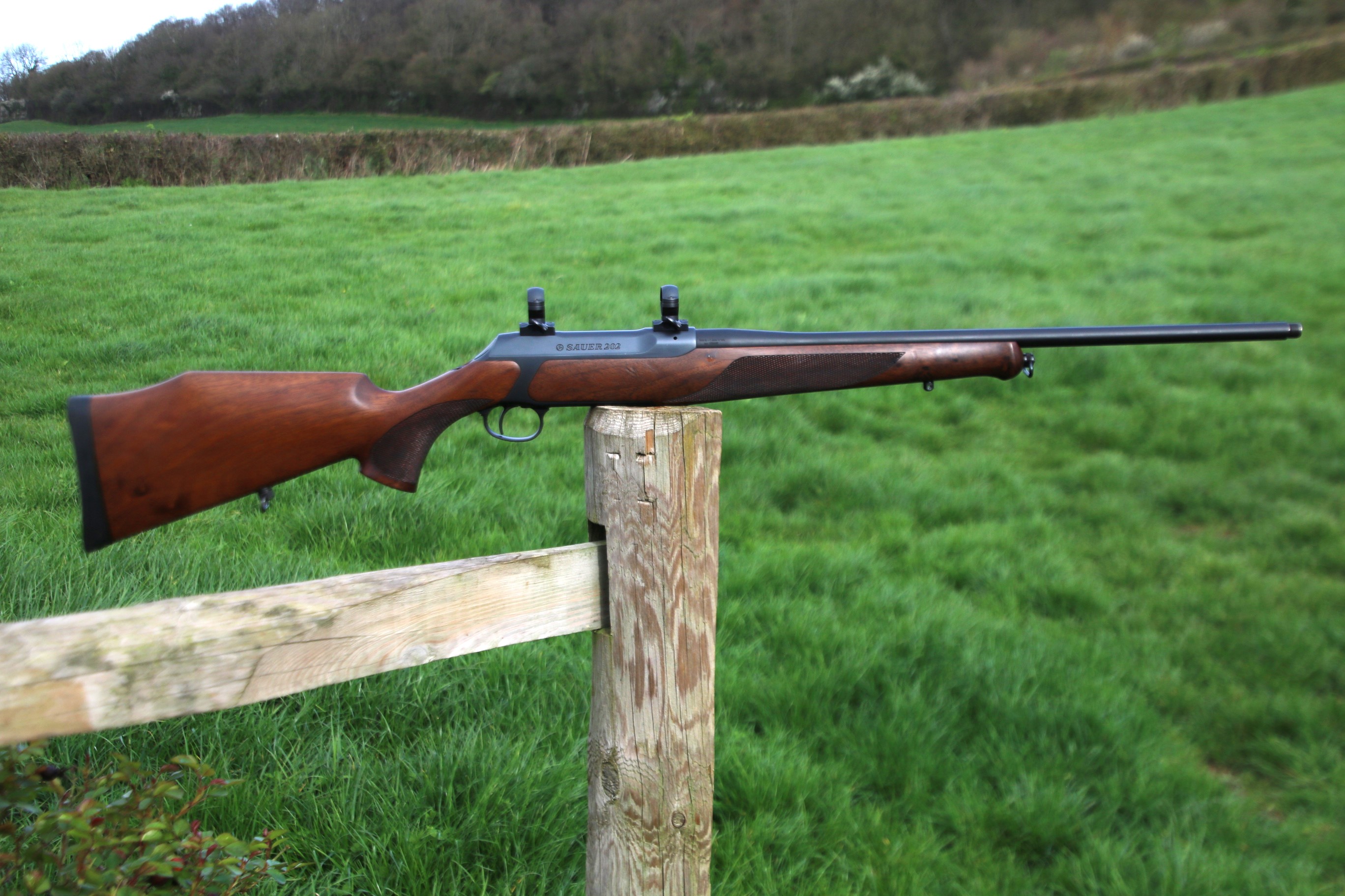 Sauer 202