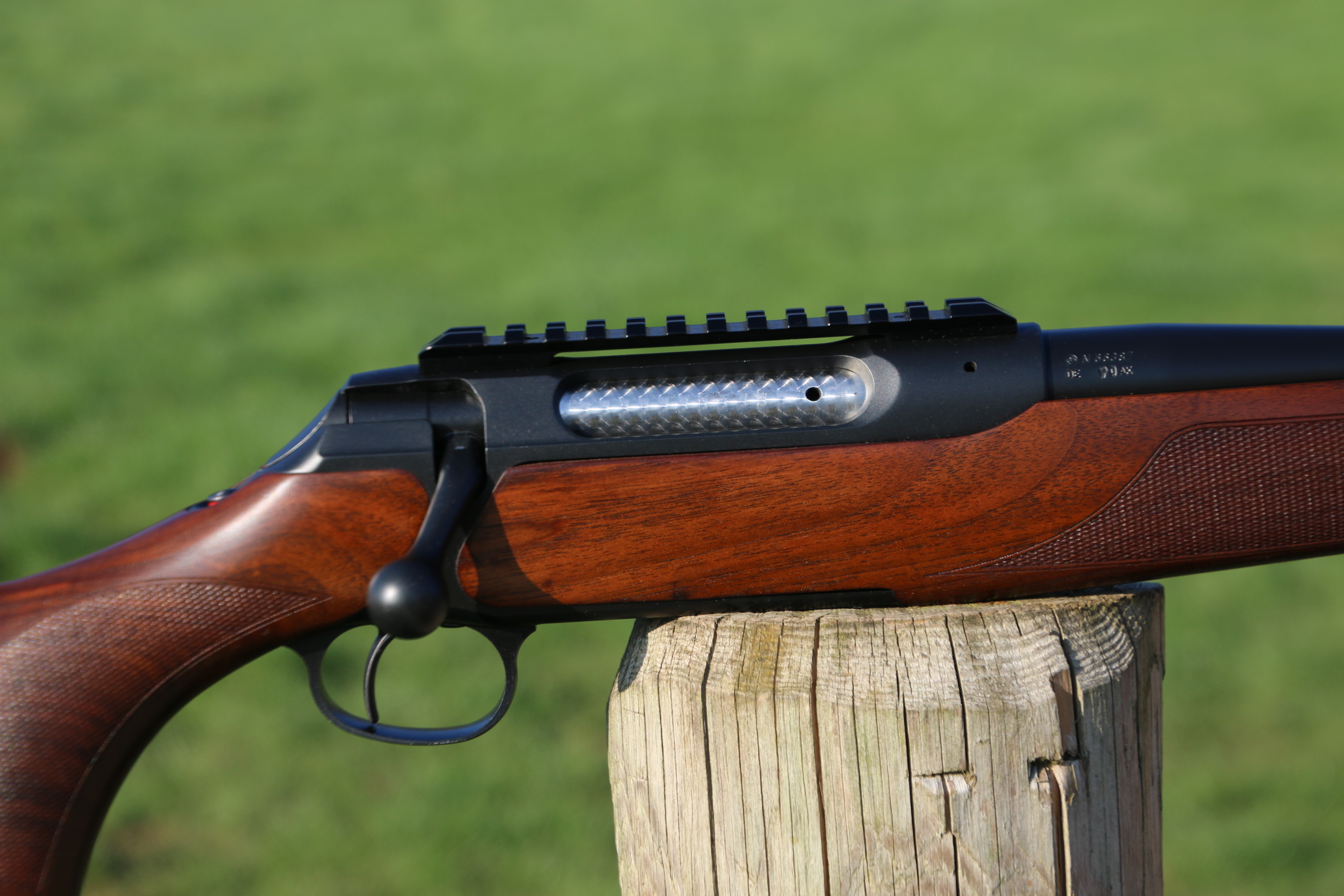 Sauer 202