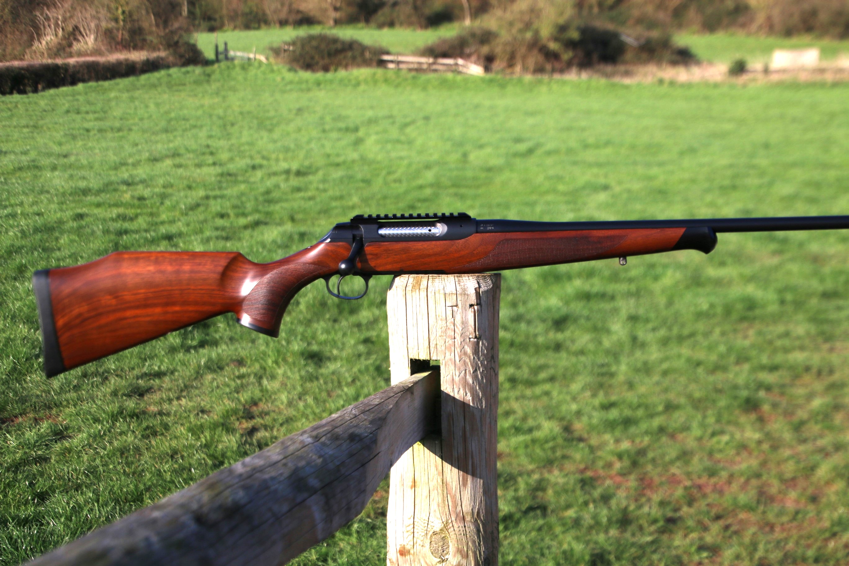 Sauer 202