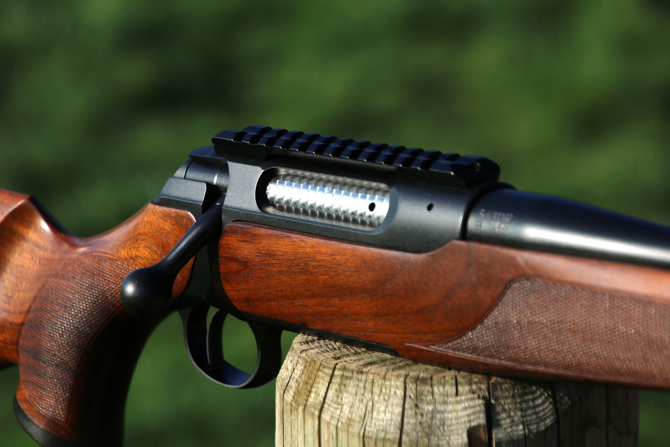 Sauer 202