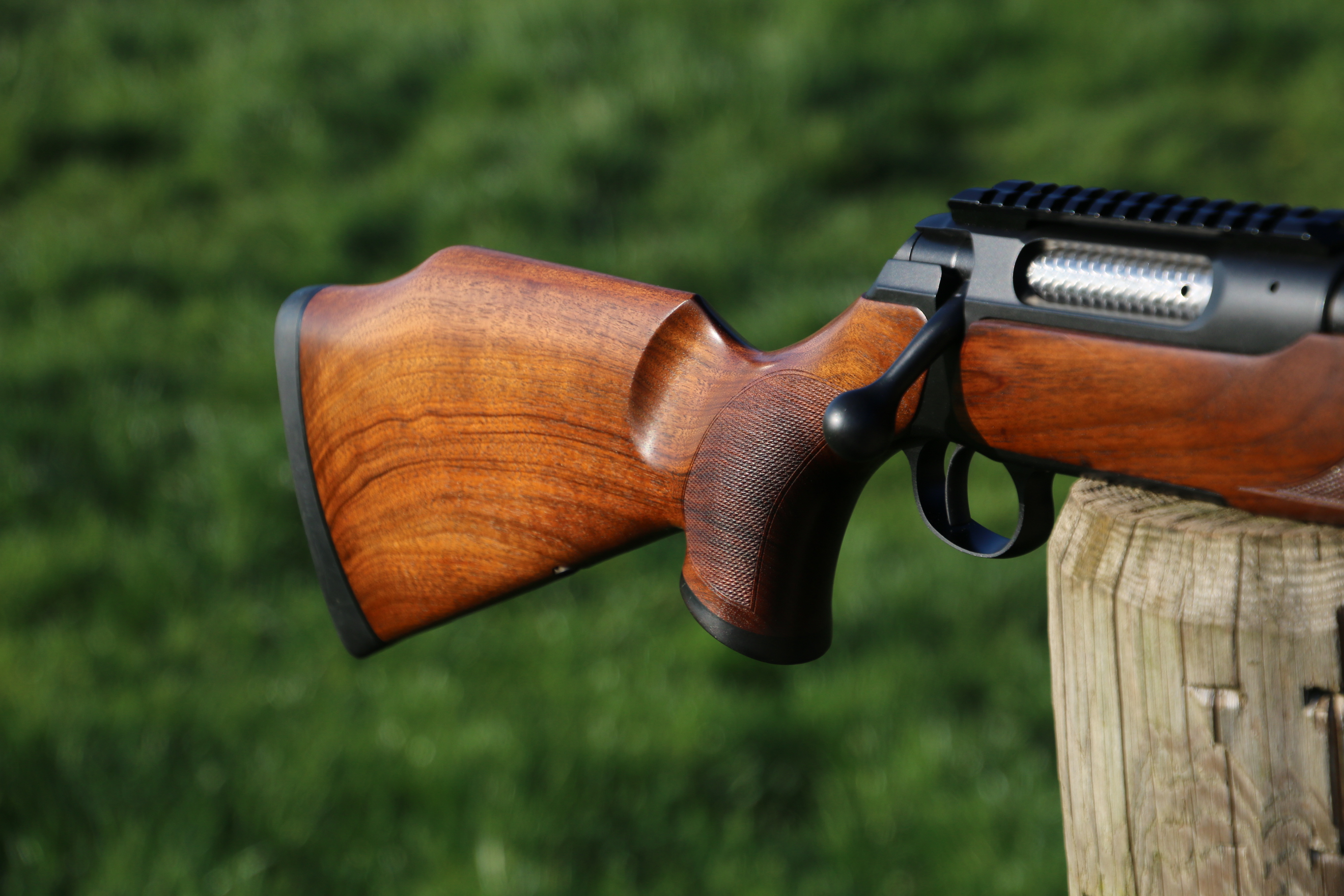Sauer 202