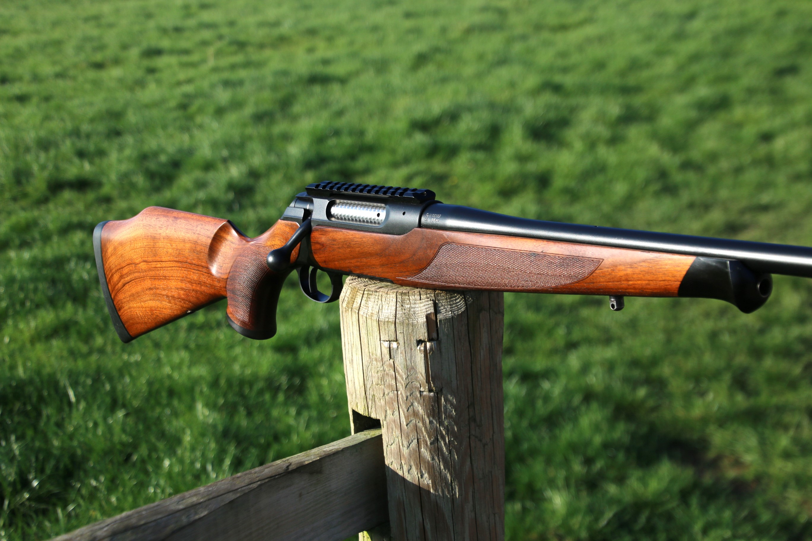 Sauer 202