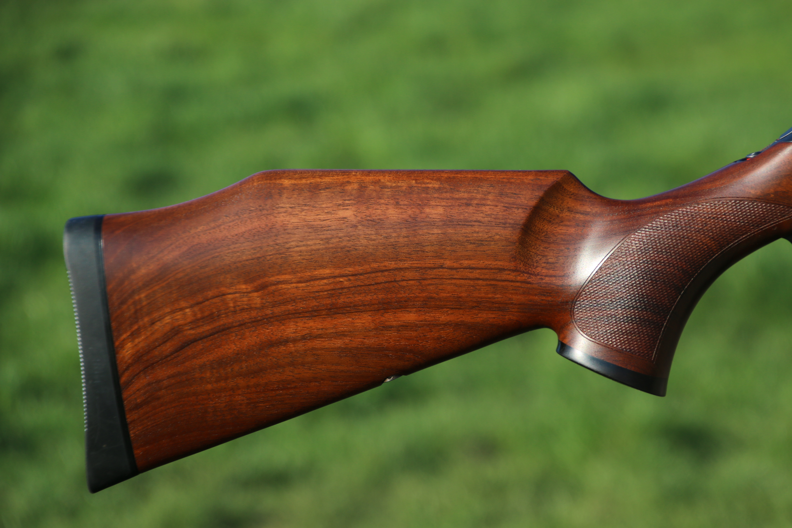 Sauer 202