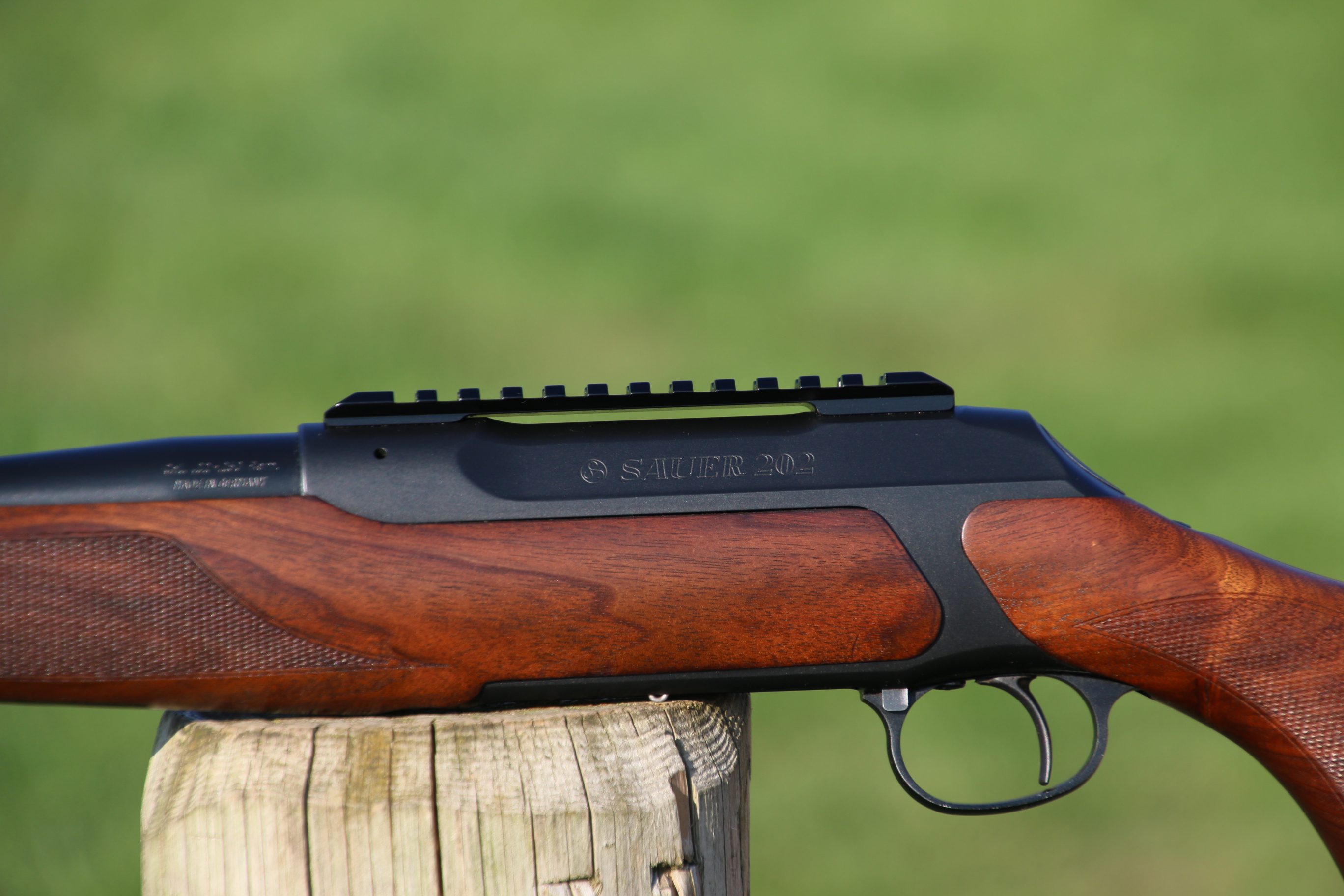 Sauer 202