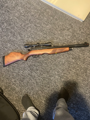 Firearm: Gamo Riser Punisher PCP 