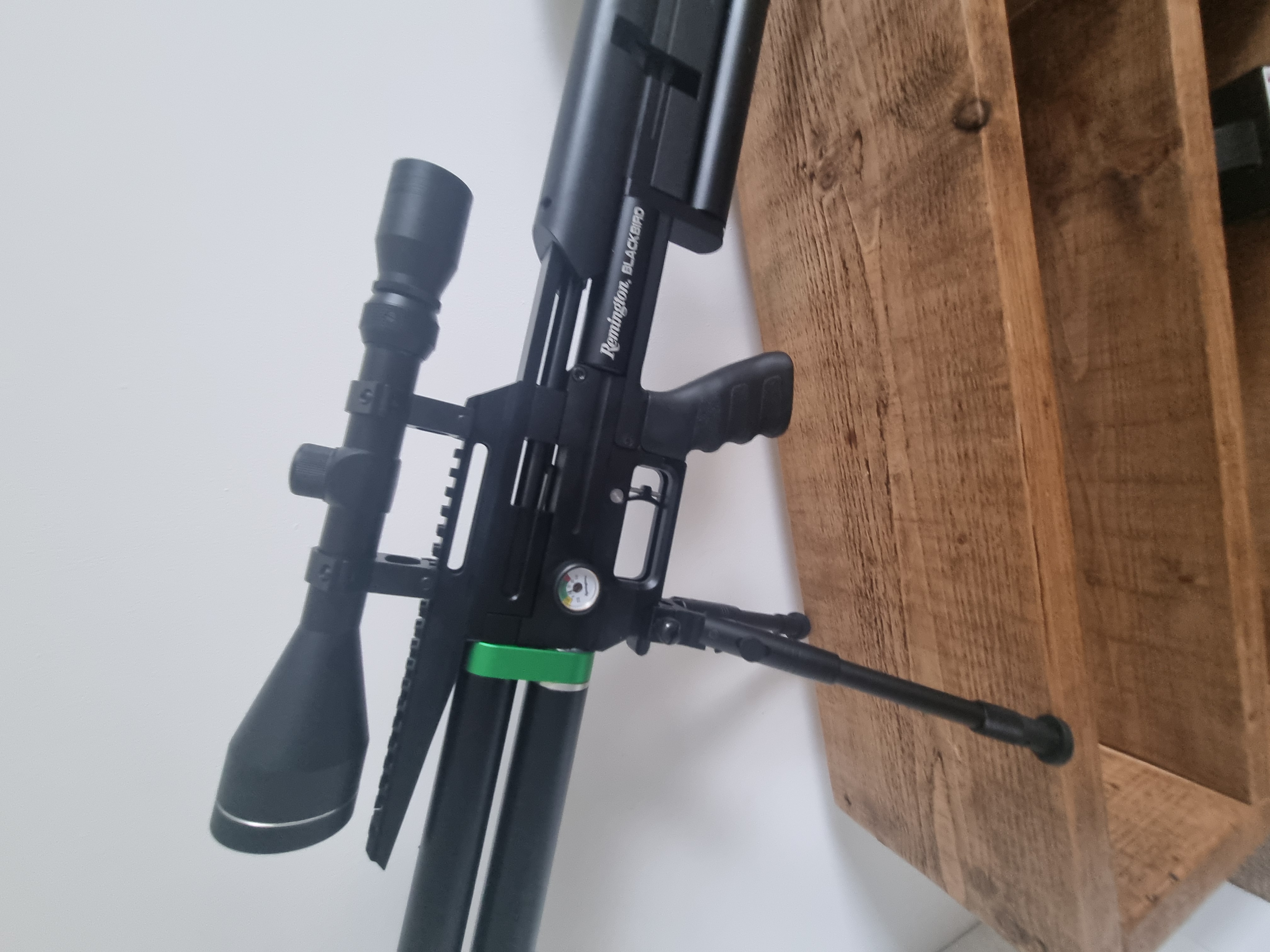 Remington Blackbird