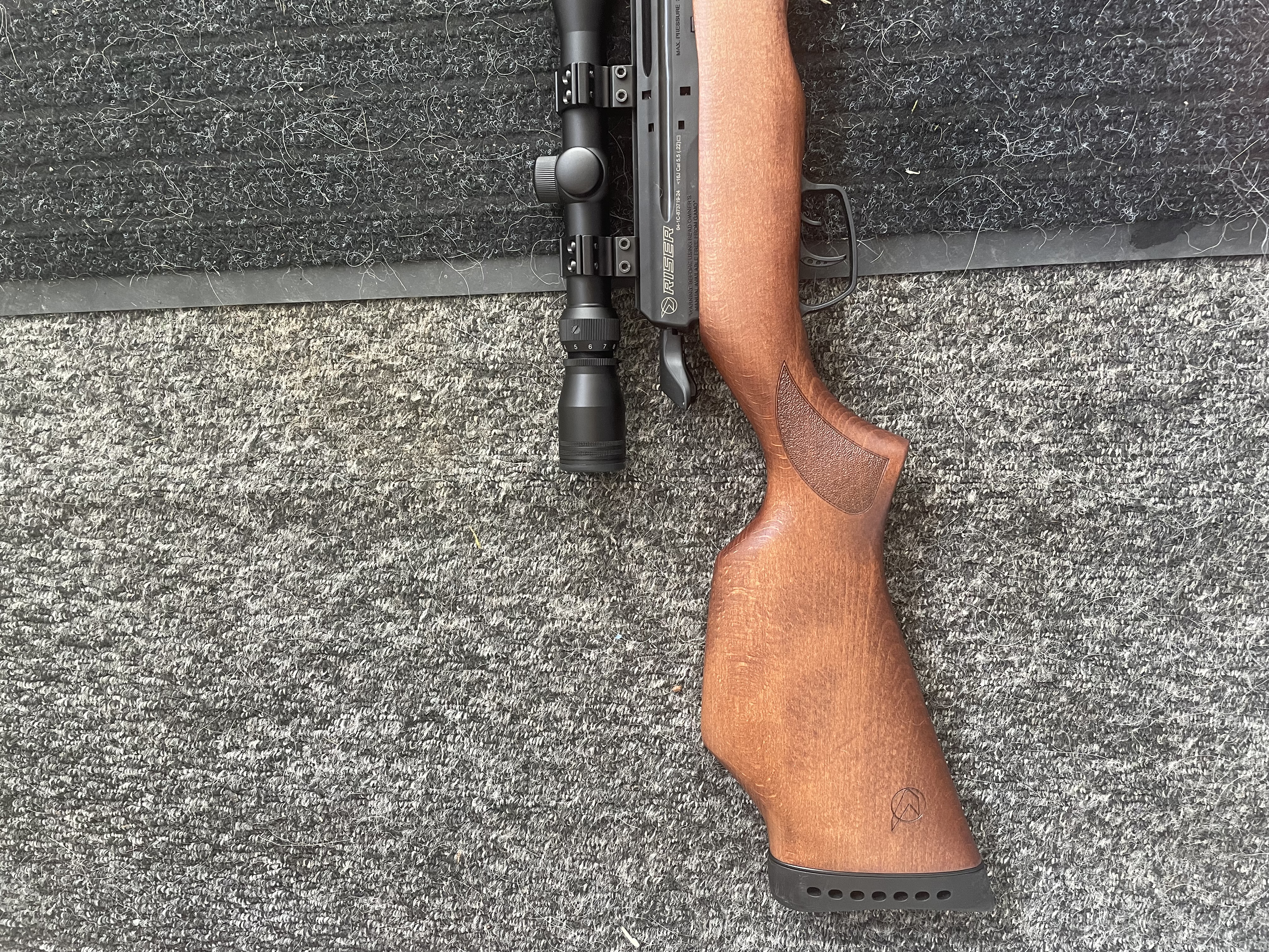 Gamo Riser Punisher PCP