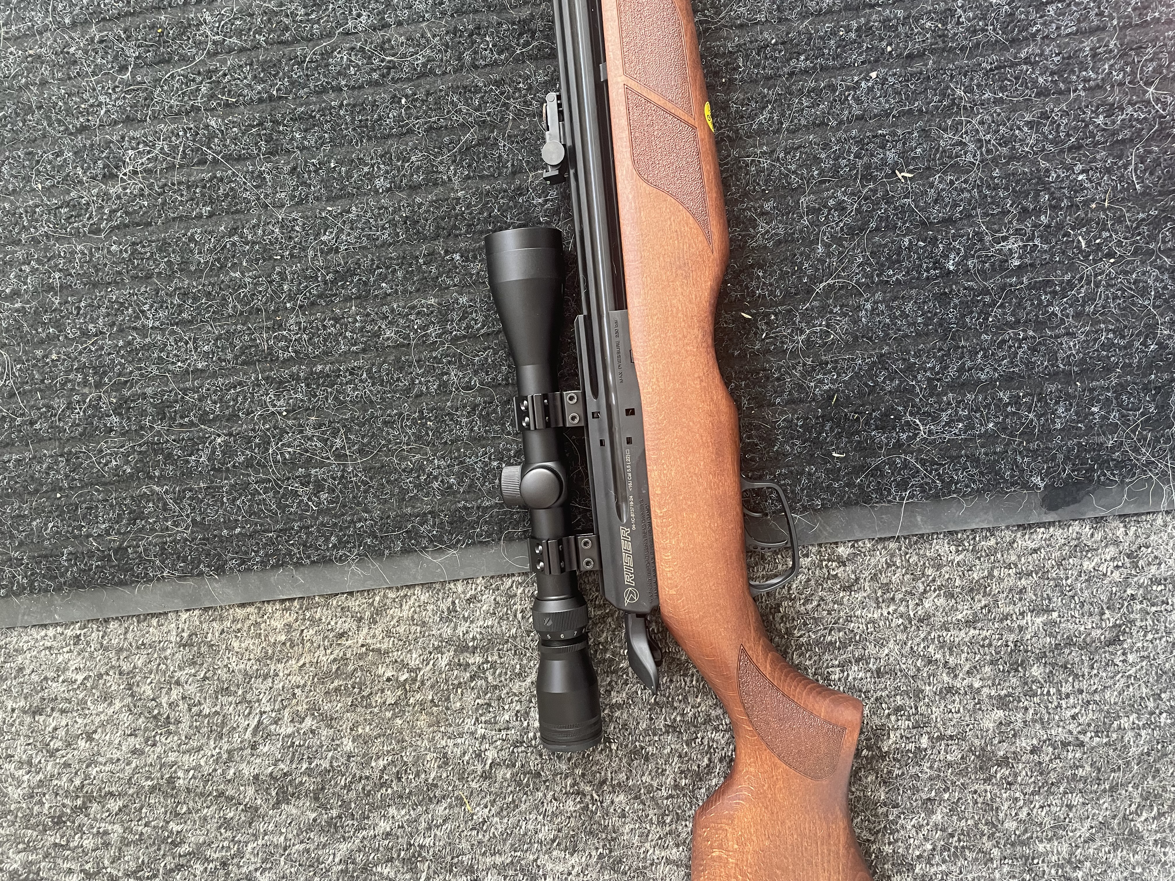 Gamo Riser Punisher PCP