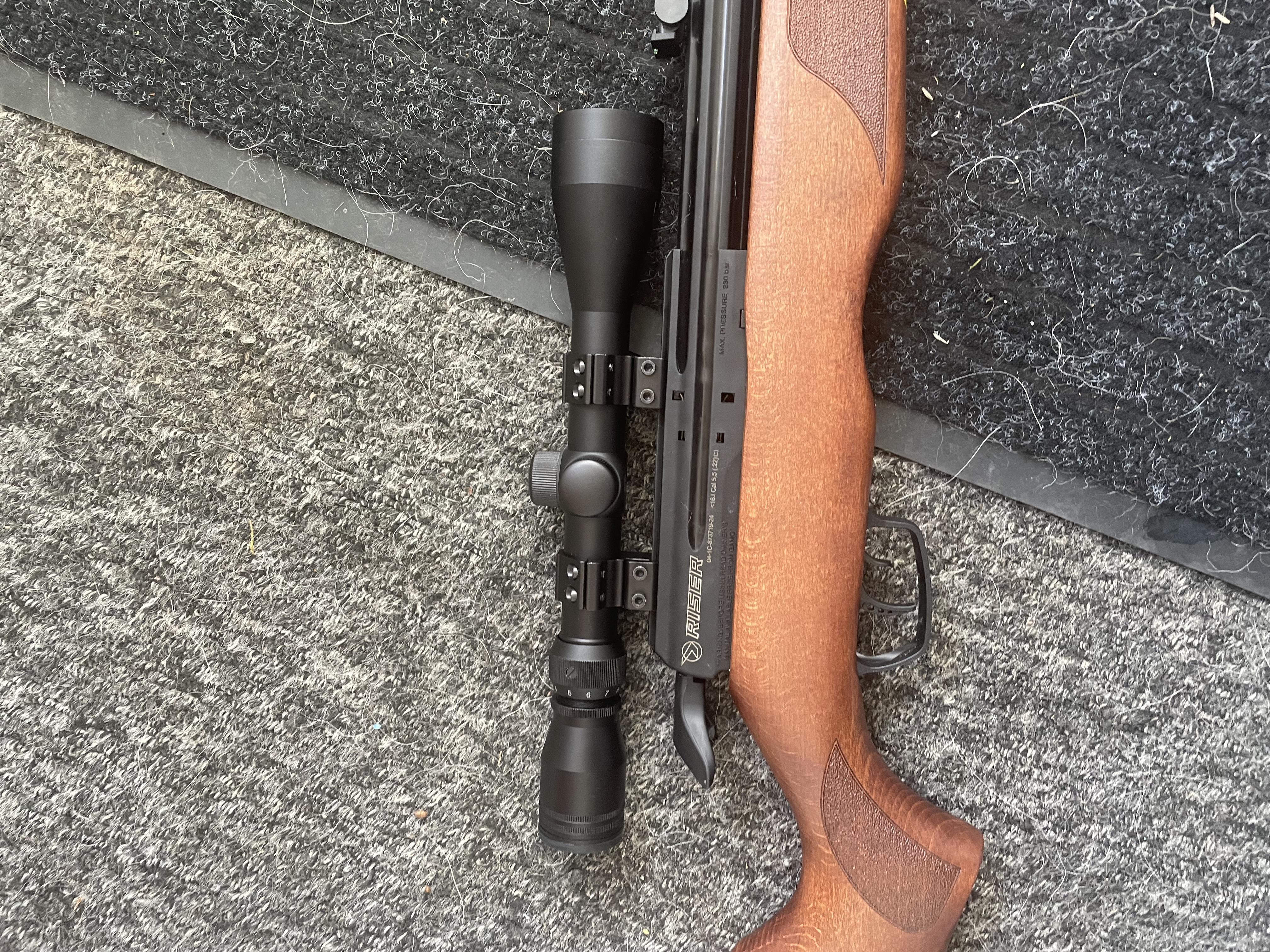 Gamo Riser Punisher PCP