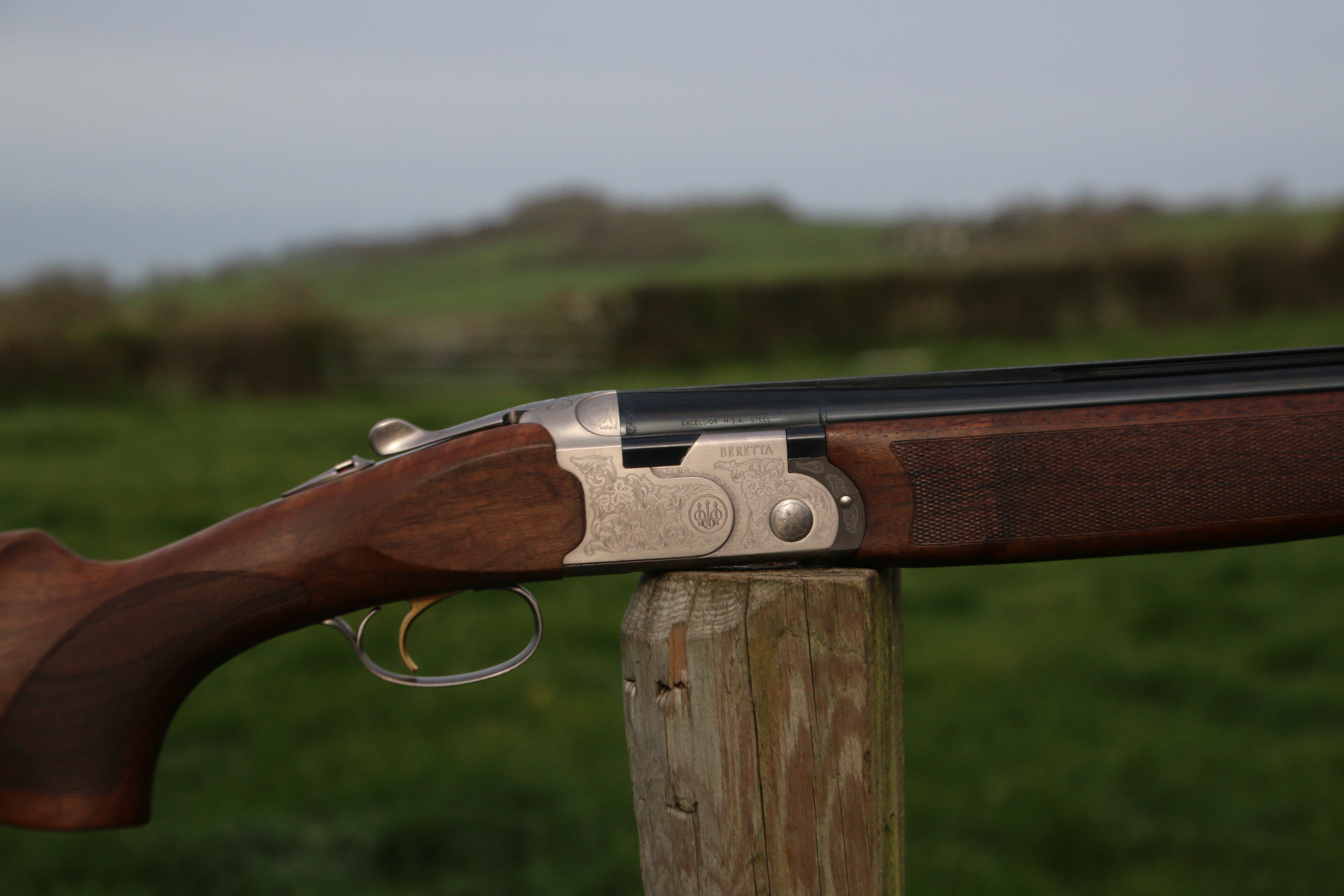 Beretta 686