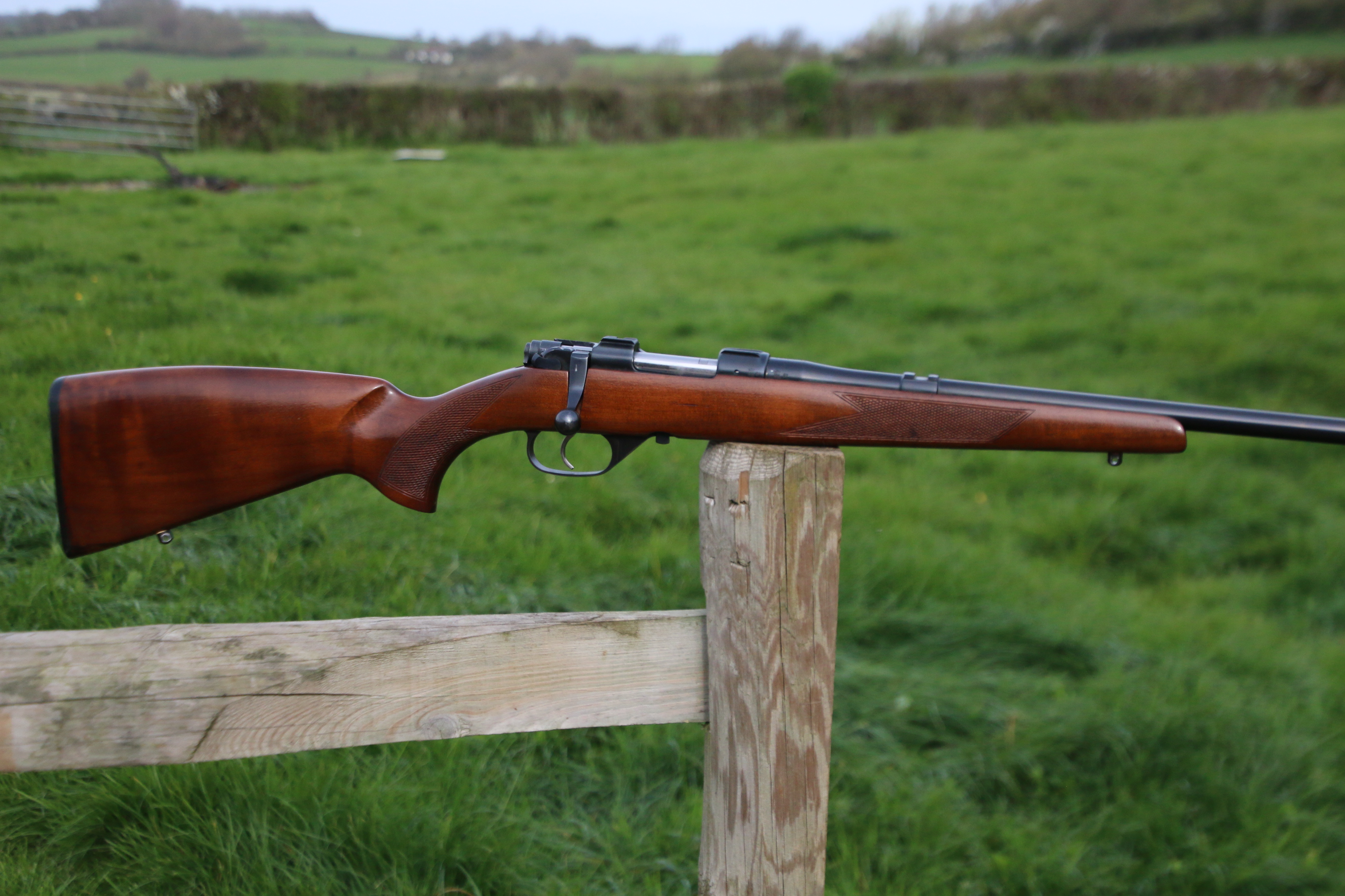 CZ 527