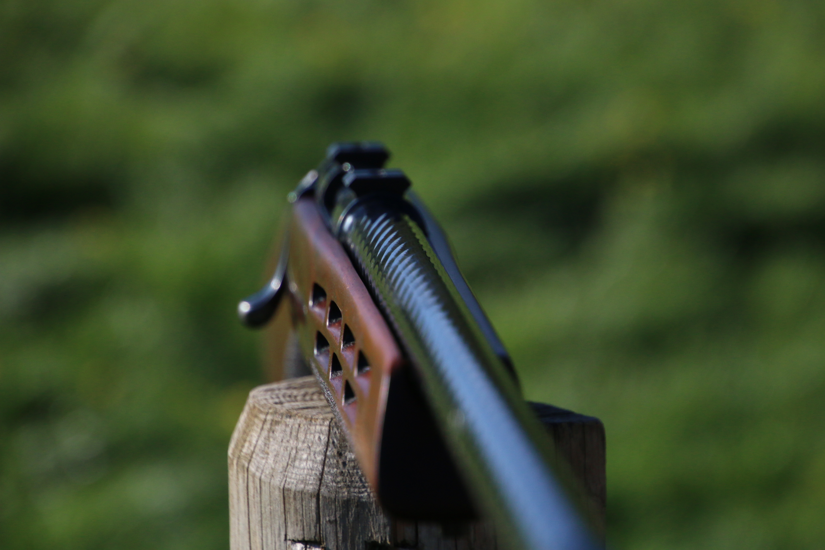 Steyr Mannlicher L