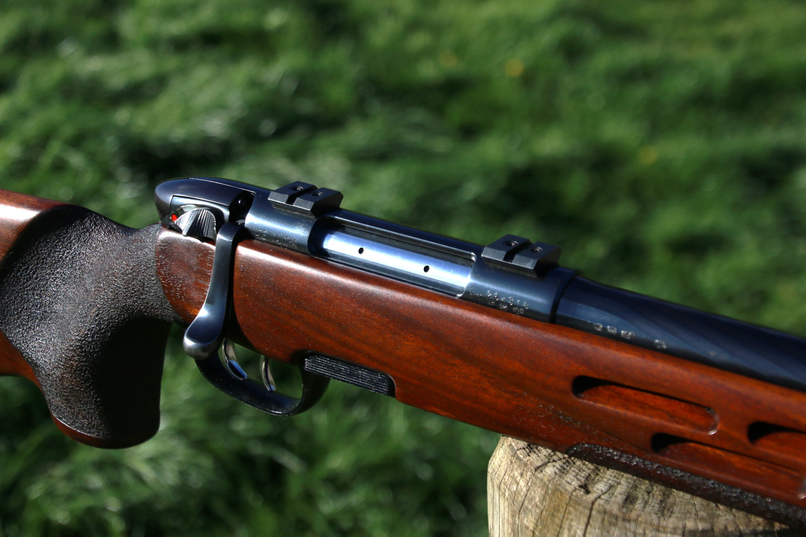 Steyr Mannlicher L