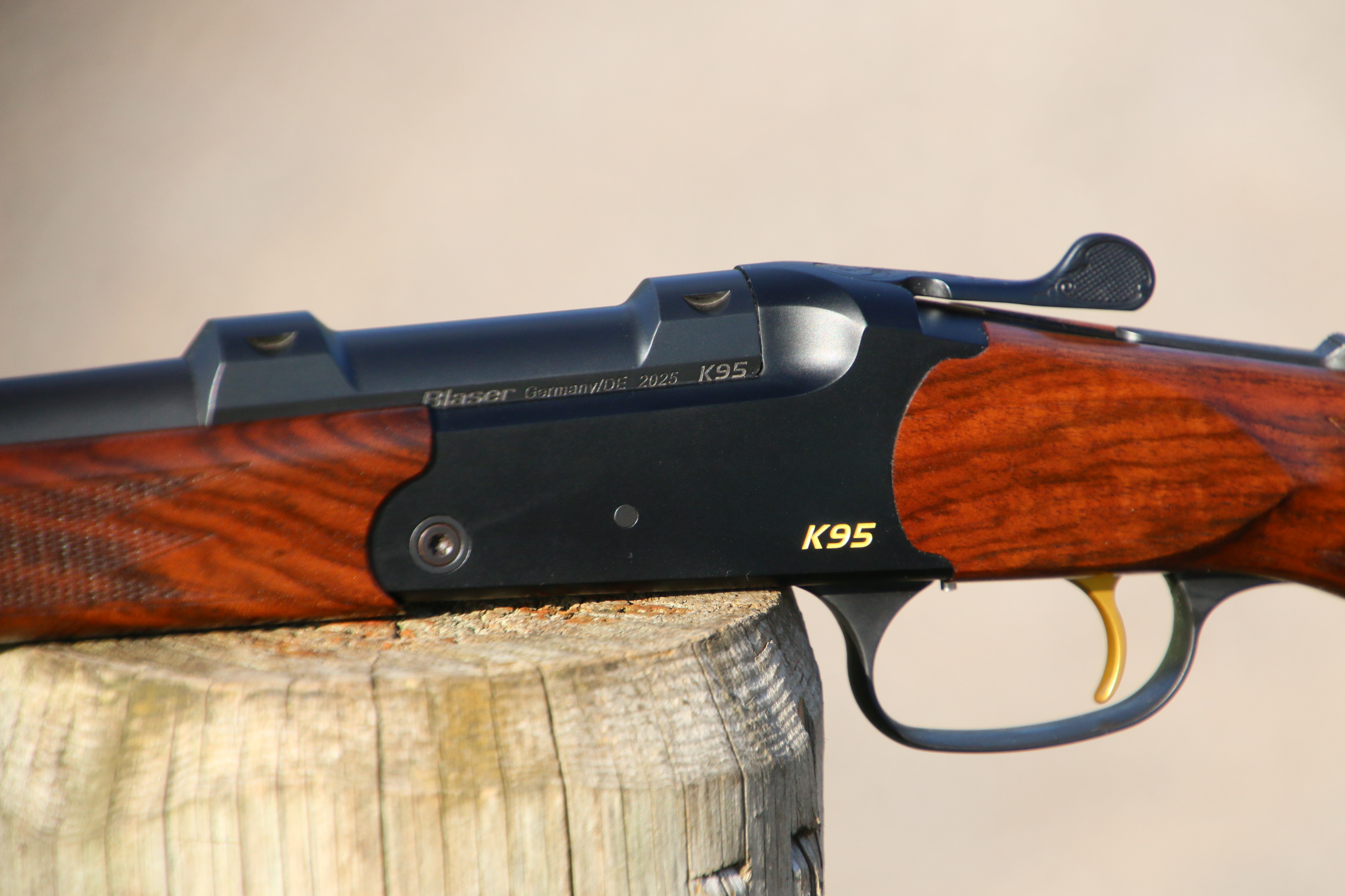 Blaser K95