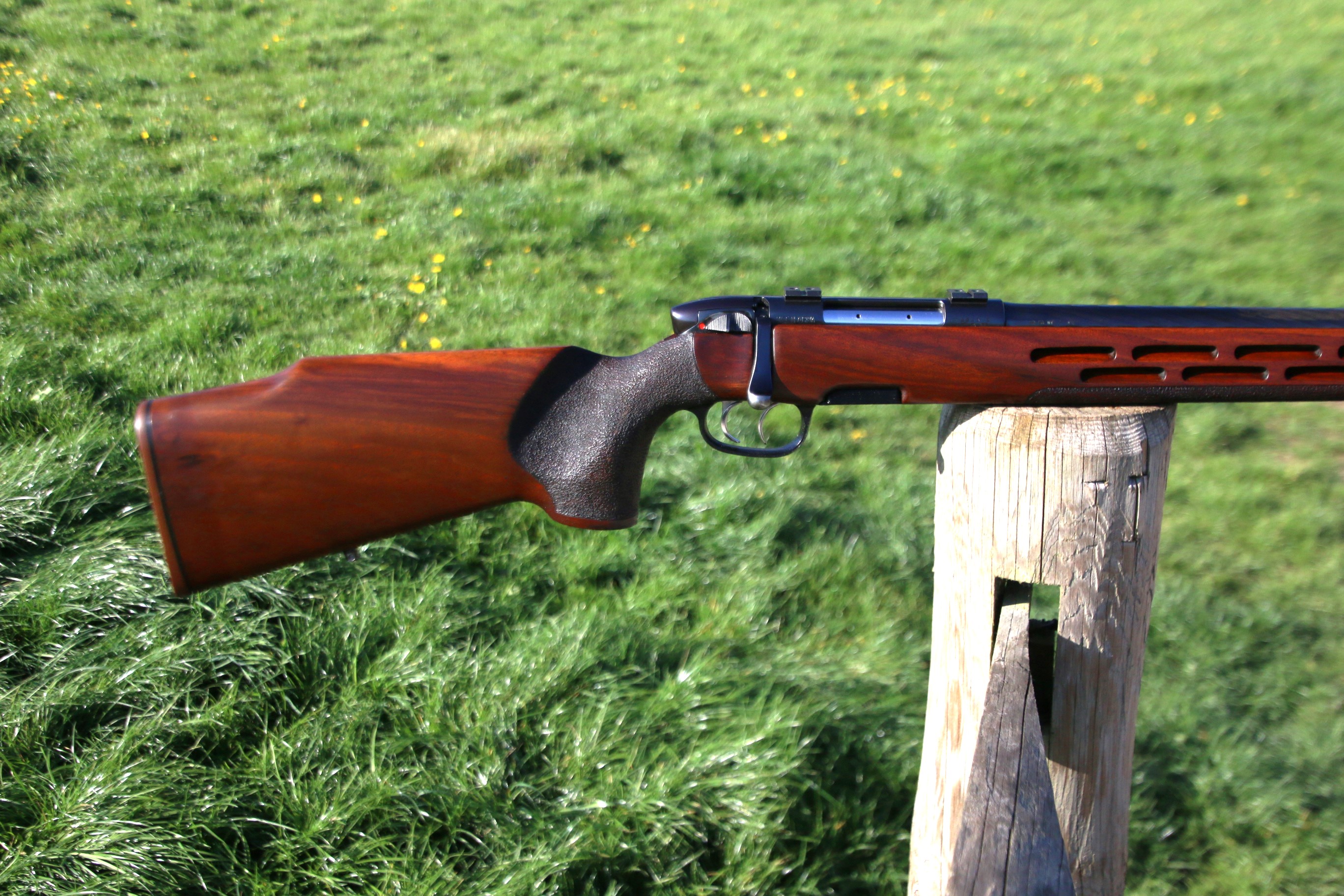 Steyr Mannlicher L