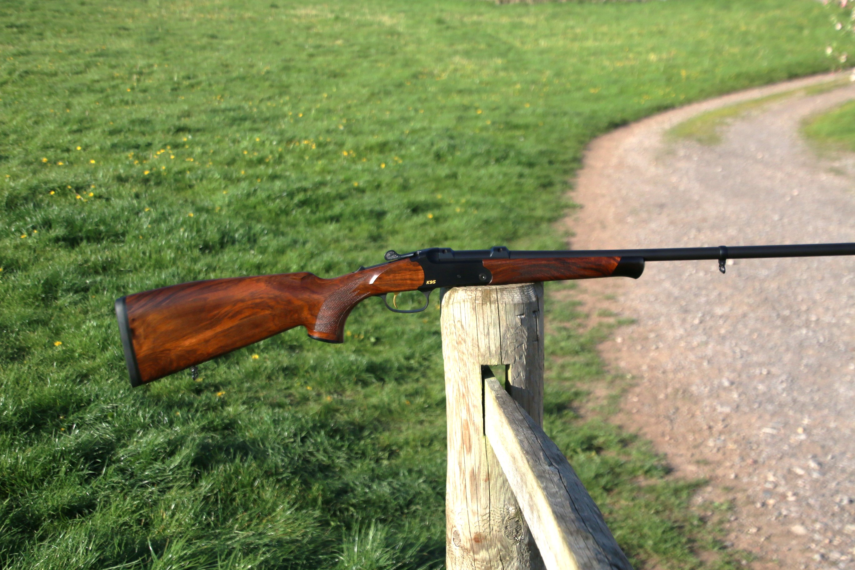 Blaser K95