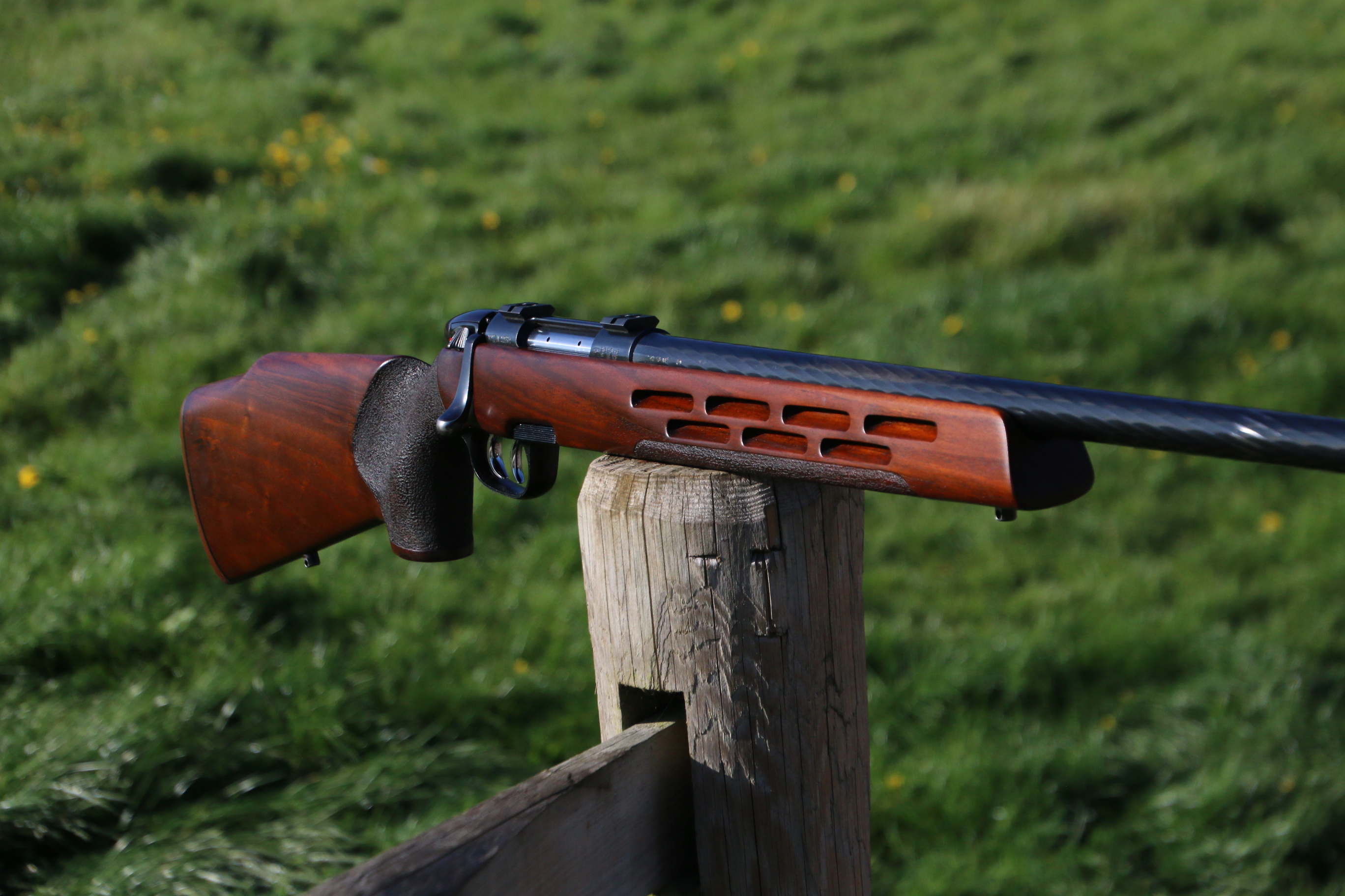 Steyr Mannlicher L