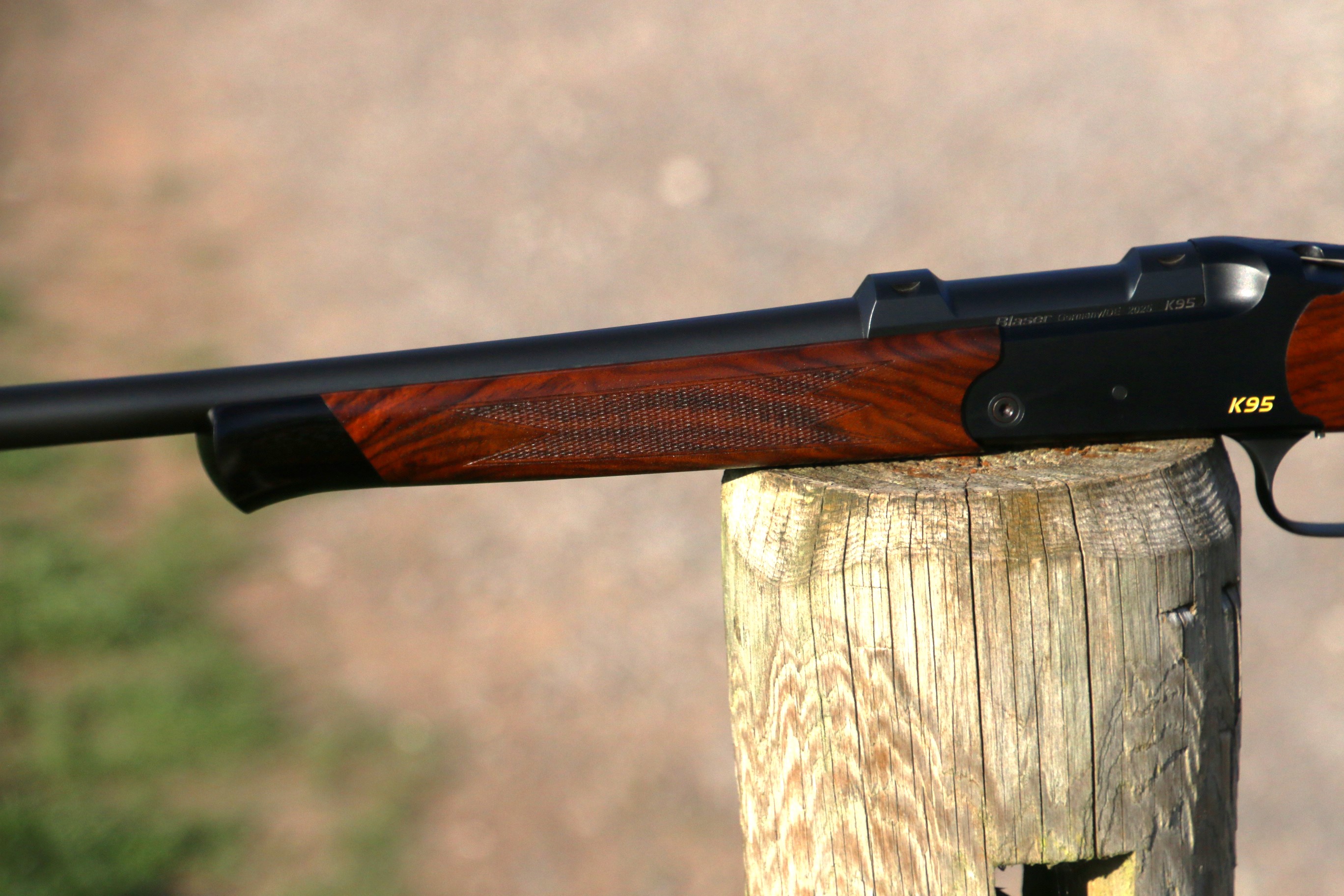 Blaser K95