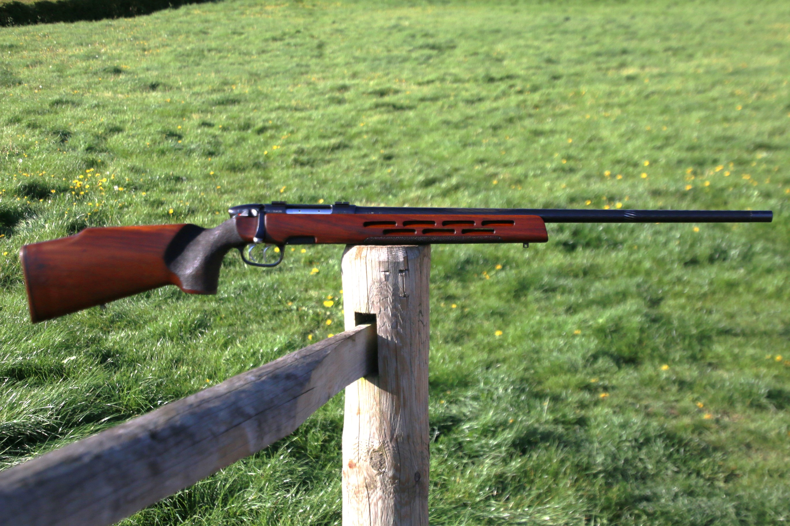 Steyr Mannlicher L