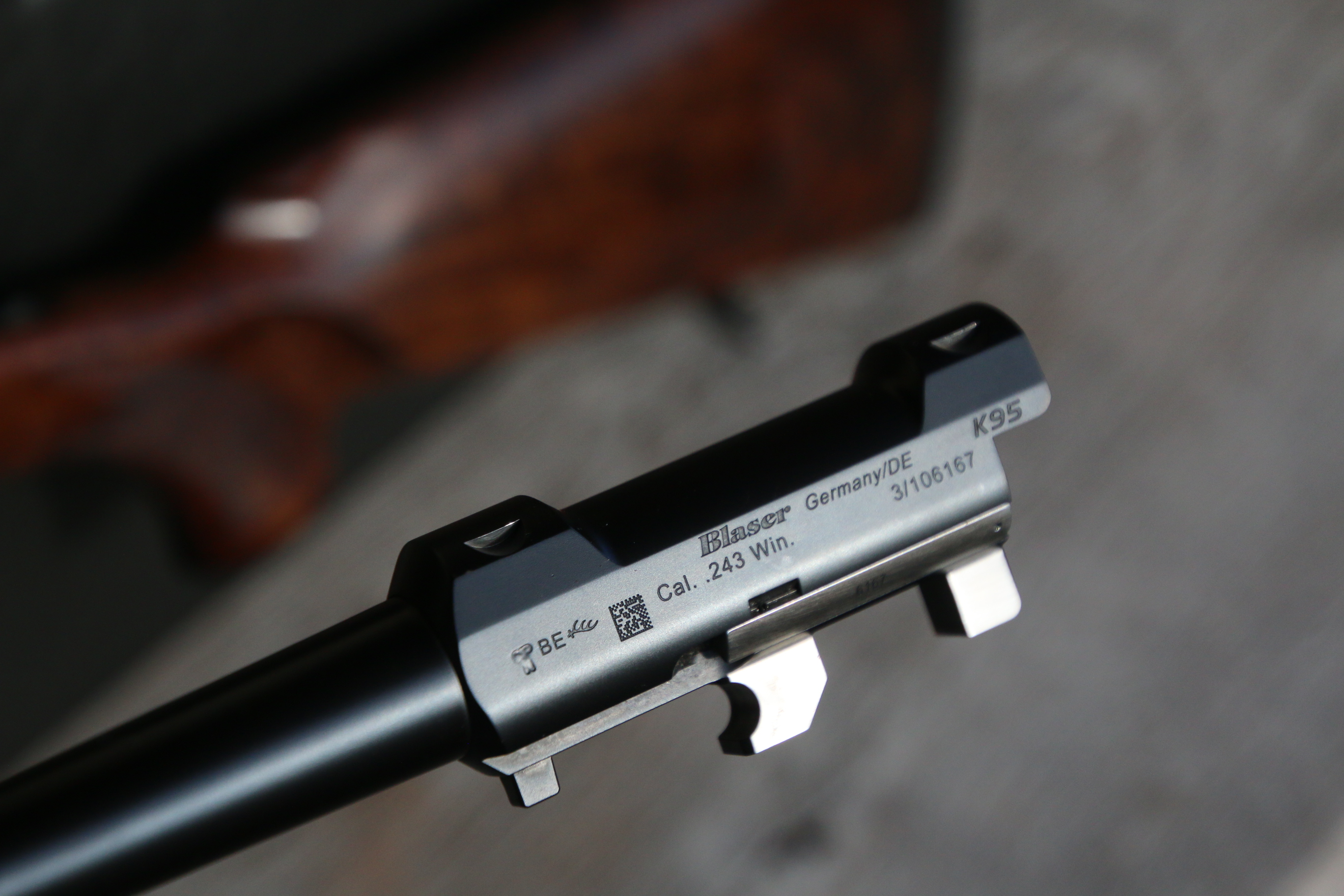 Blaser K95