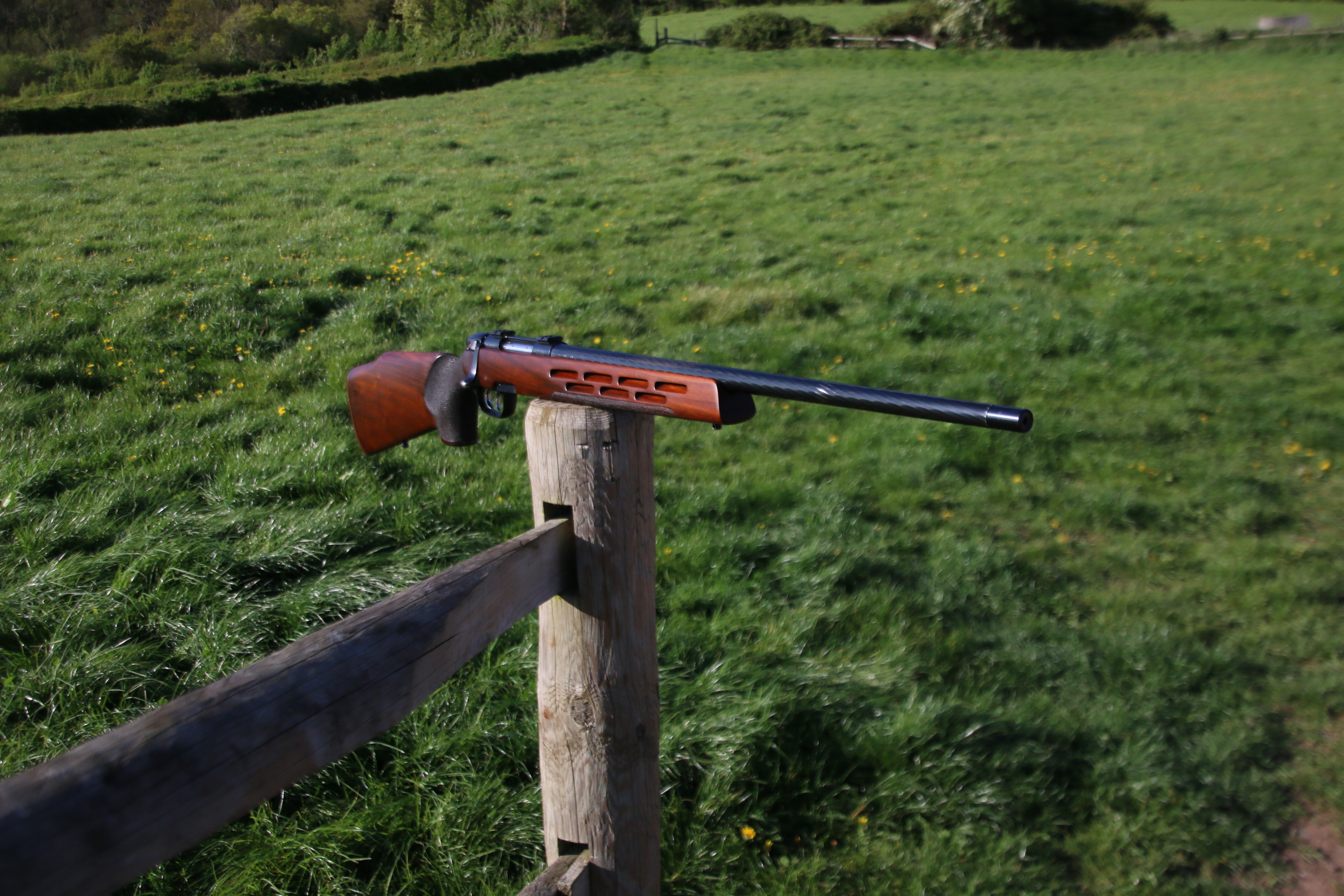 Steyr Mannlicher L