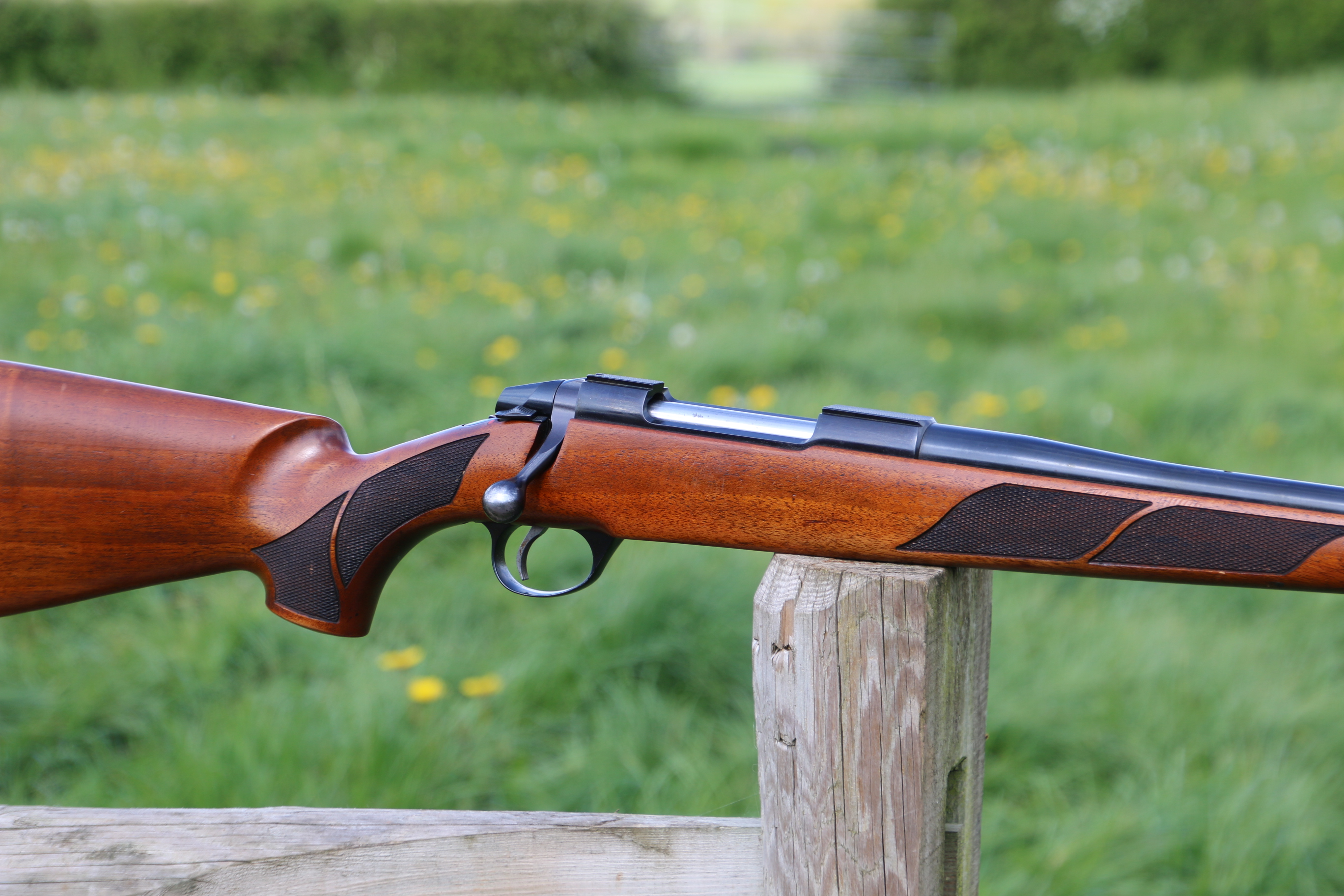 Sako 75