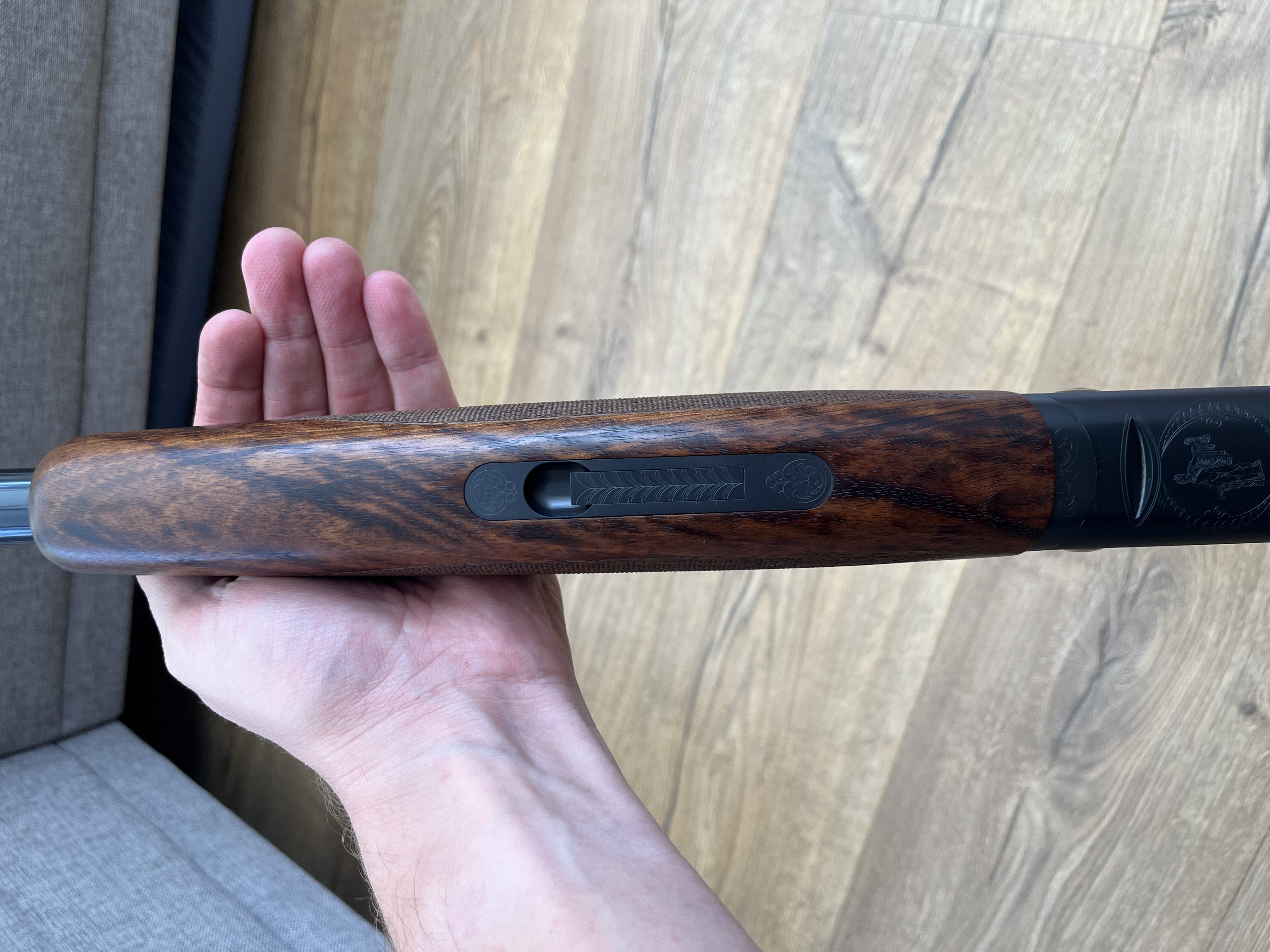 Sauer Apollon