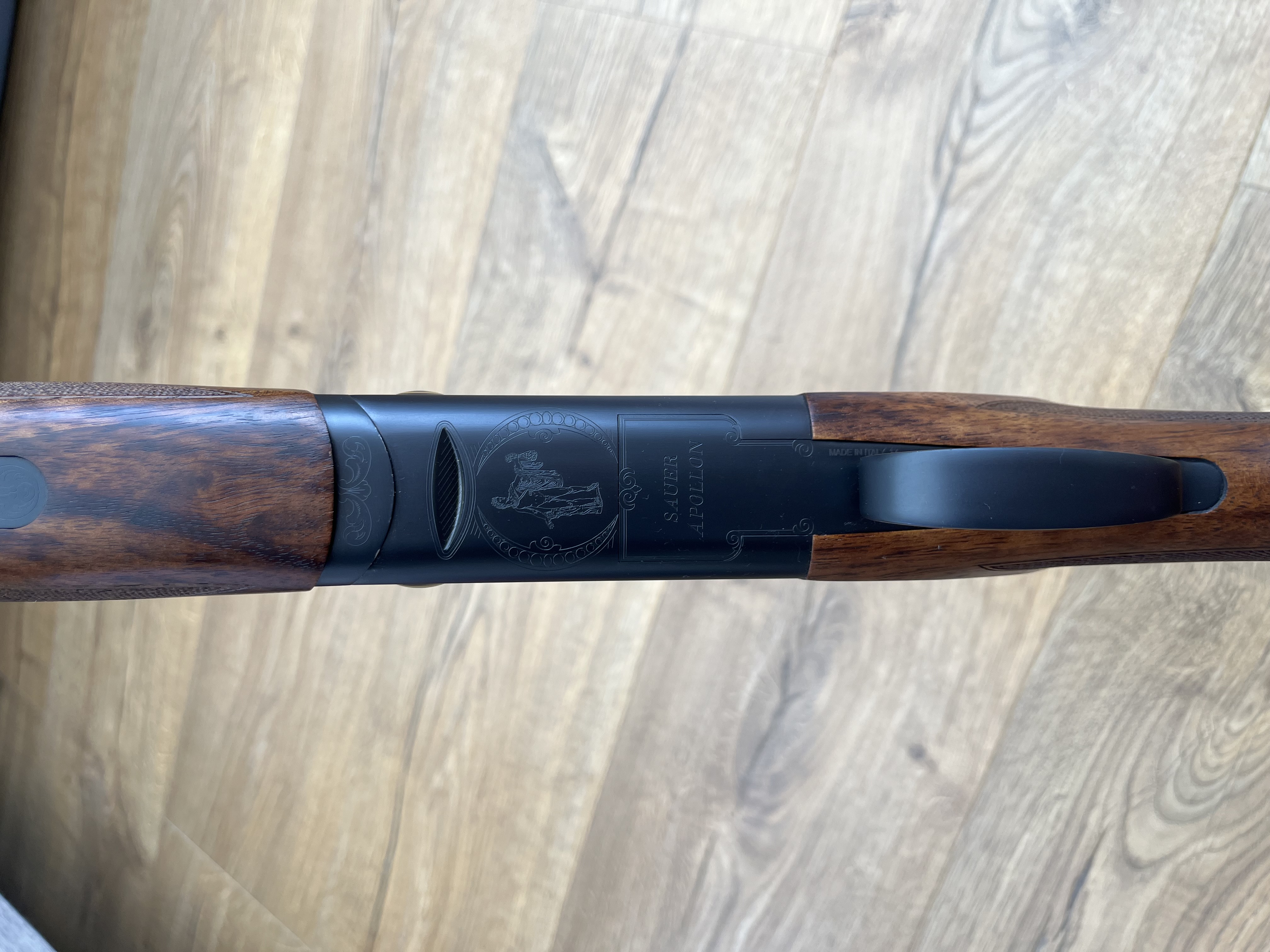 Sauer Apollon