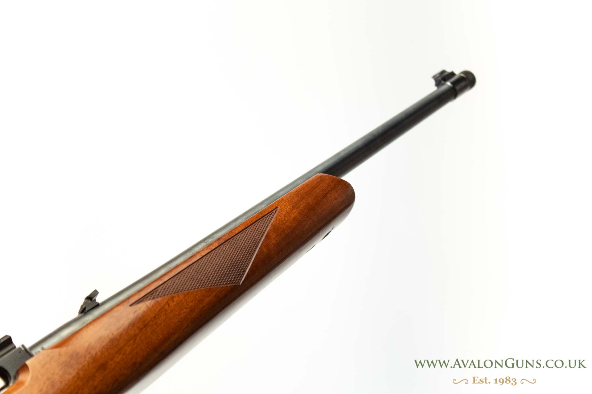 Ruger 10-22