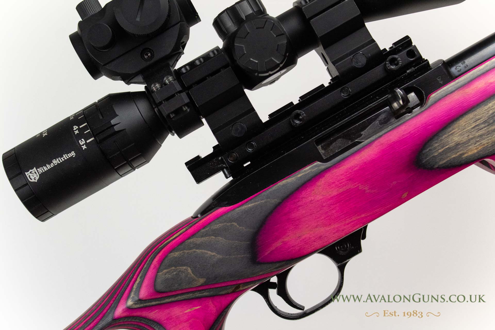 Ruger 10-22