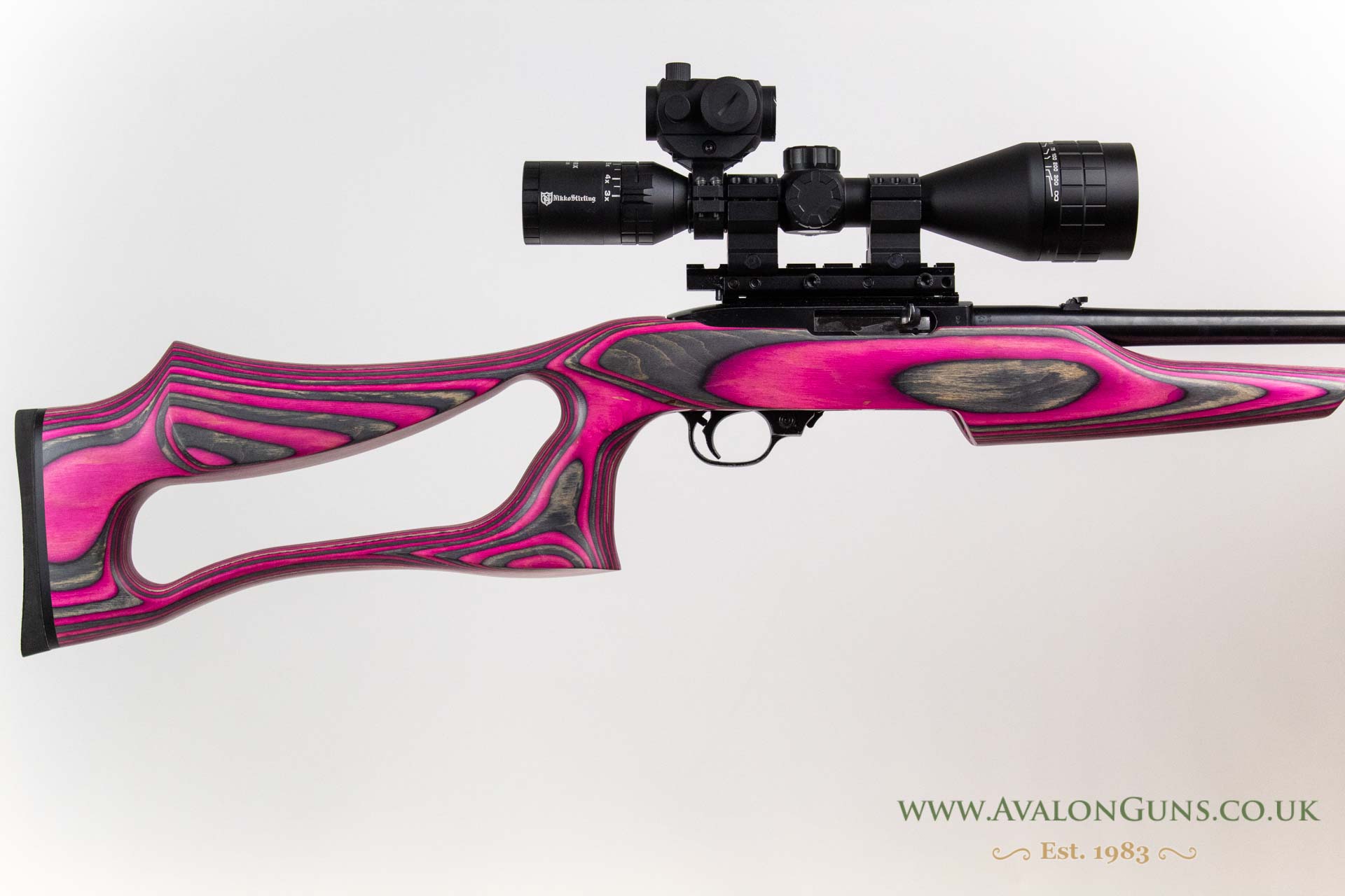 Ruger 10-22